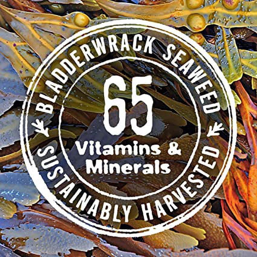 The Seaweed Bath Co. Active Defense Sunscreen SPF 50 Broad Spectrum Moisturizing Cream (3.4 oz) p3i0x
