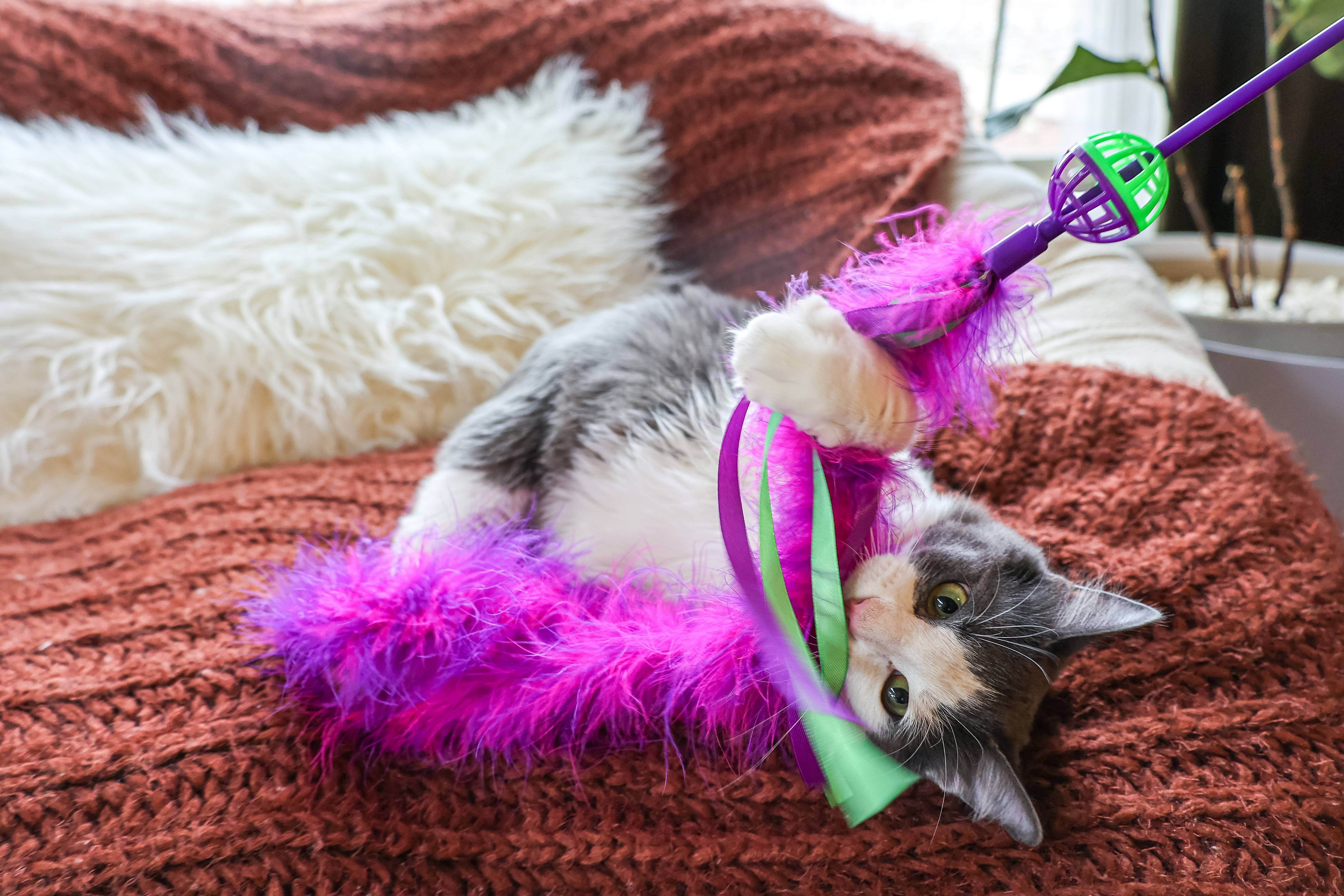 Vibrant Life Feather Wand Cat Toy Interactive Teaser with Bell (Multi-color, 1 Pack) 9gr7p