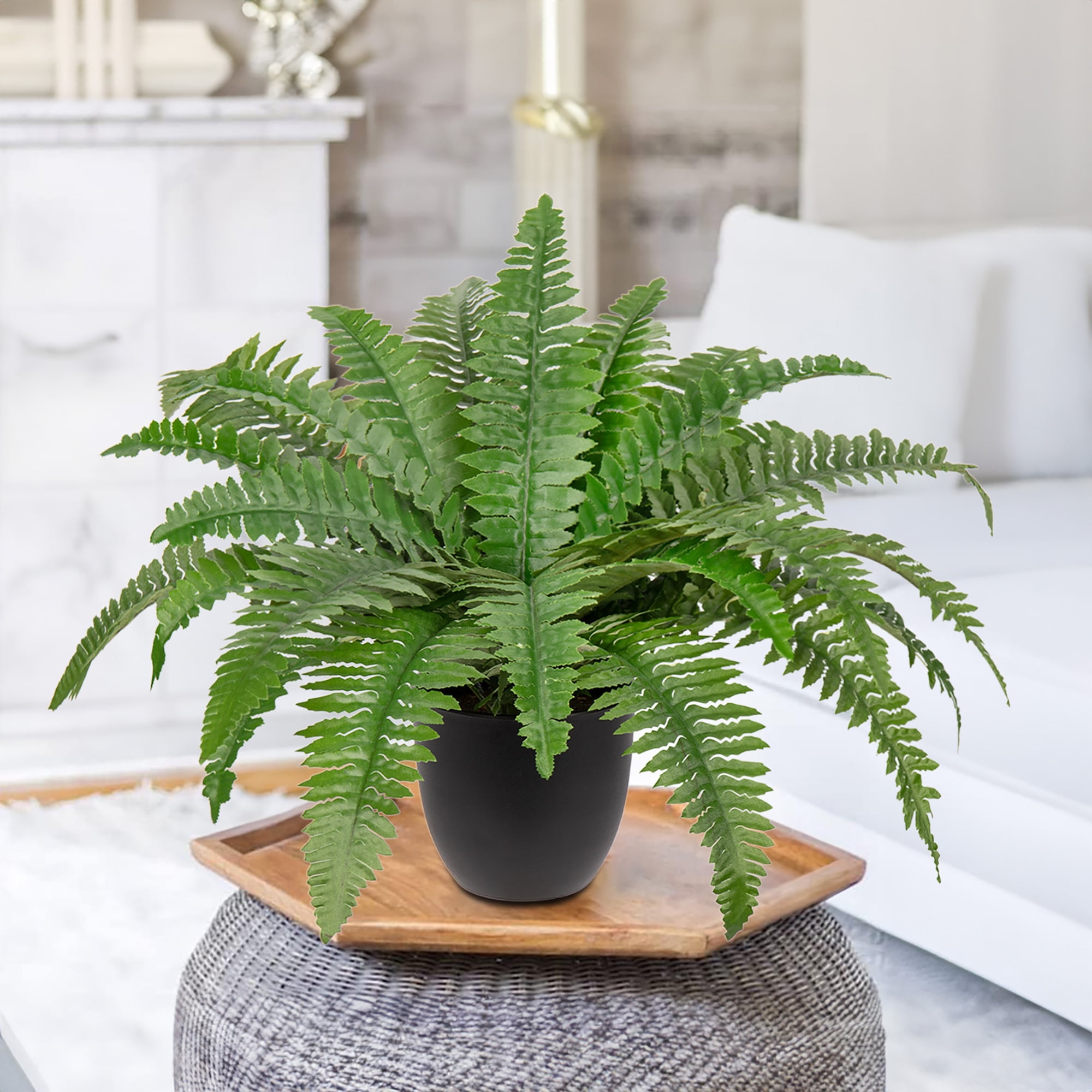 GnFlus Artificial Boston Fern Potted Plant for Home and Office Decor (Green, 9.8 in Tall) vja58