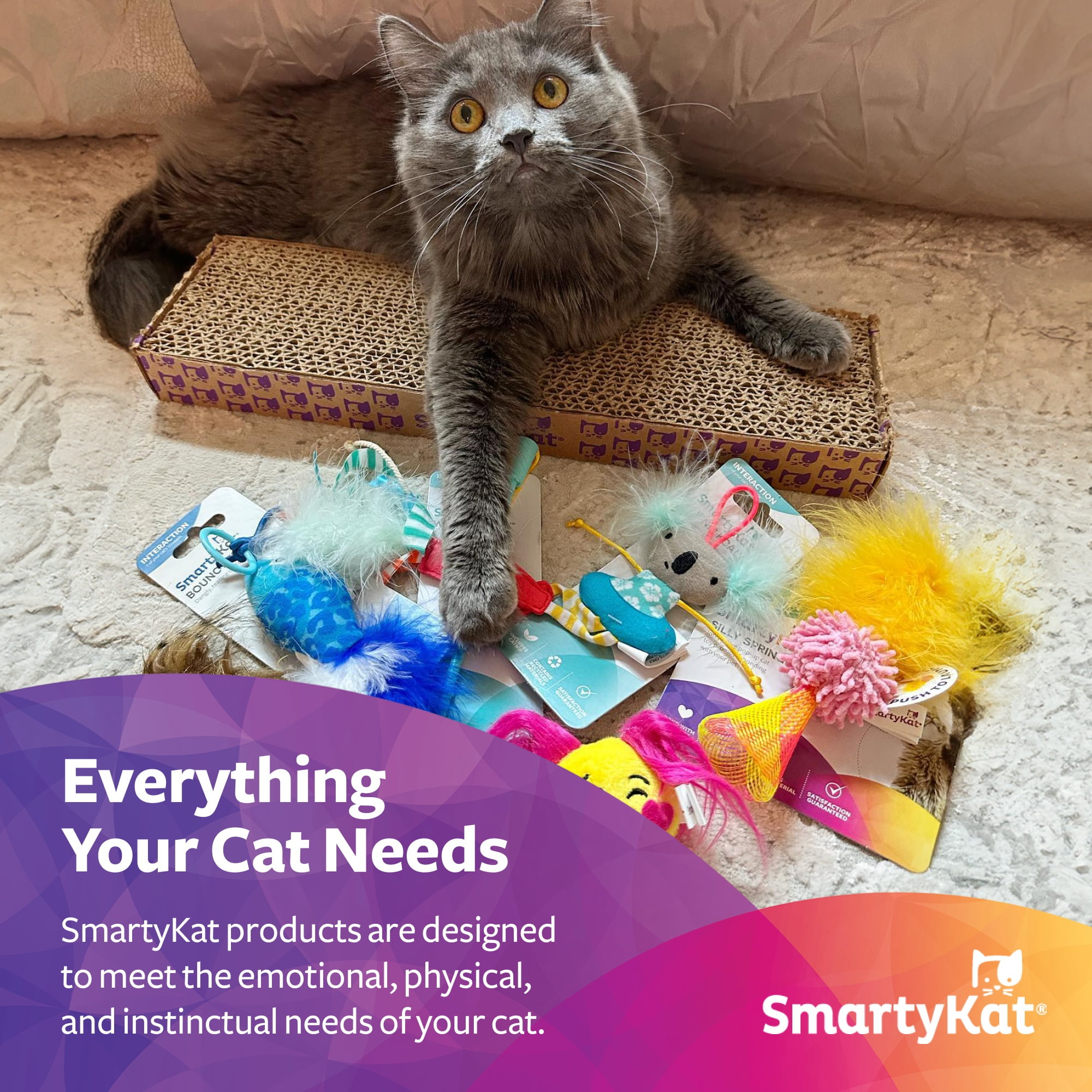 SmartyKat Track Tizzy Motion Cat Toy Electronic Interactive Pet Toy (Blue, 1 ct) q7k3p