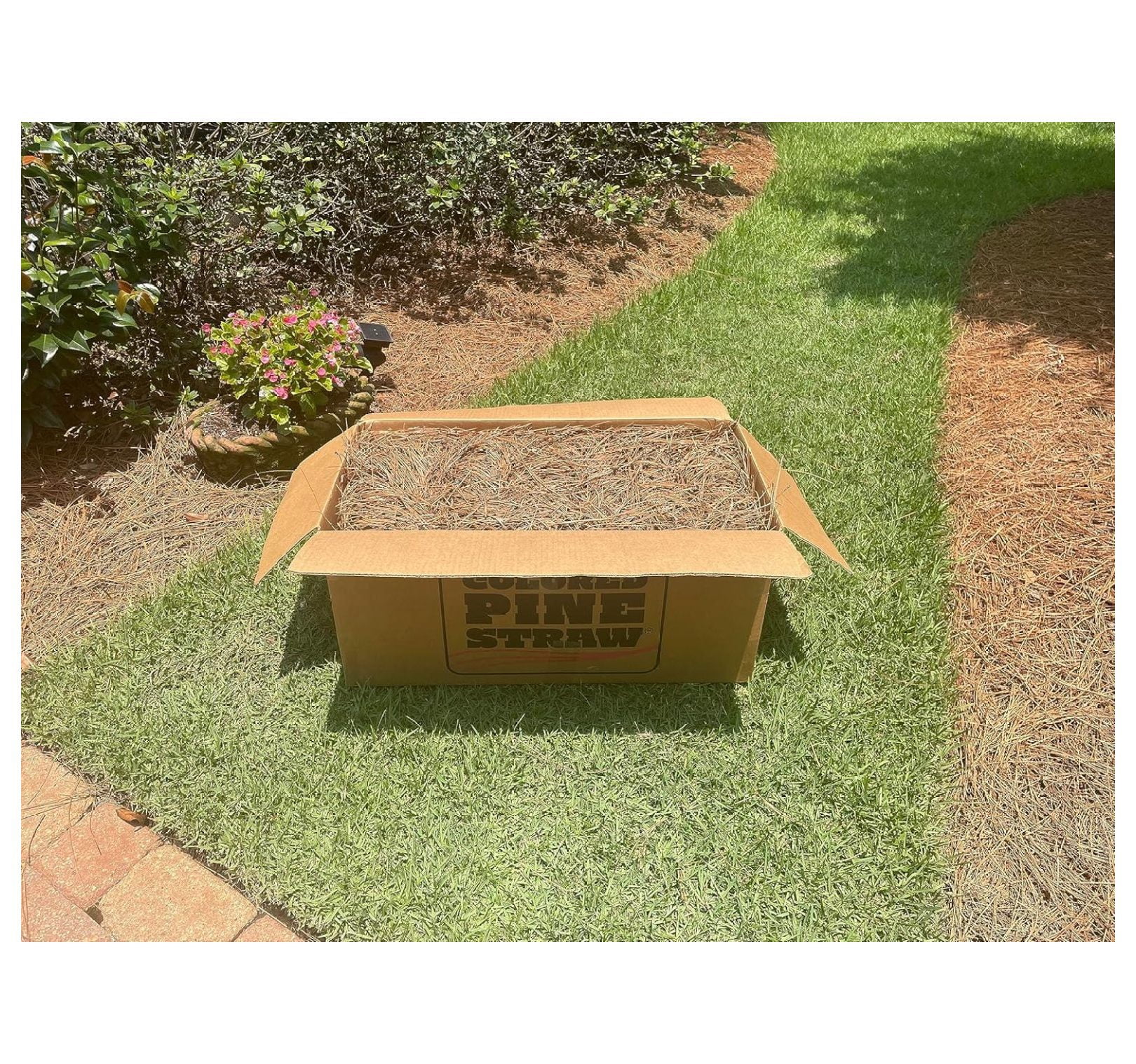 ZRuEzyX Premium Square Pine Straw Bale for Landscaping and Gardening (Natural, 65-70 Sq. Ft. Coverage) axdtr