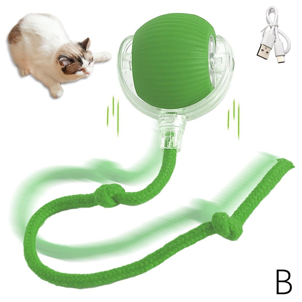 Wmool Interactive Cat Toy Ball, Motion Activated Electric Rolling Toy with LED Rainbow Lights and Long Tail (USB Rechargeable, 3 Working Modes) i0n26