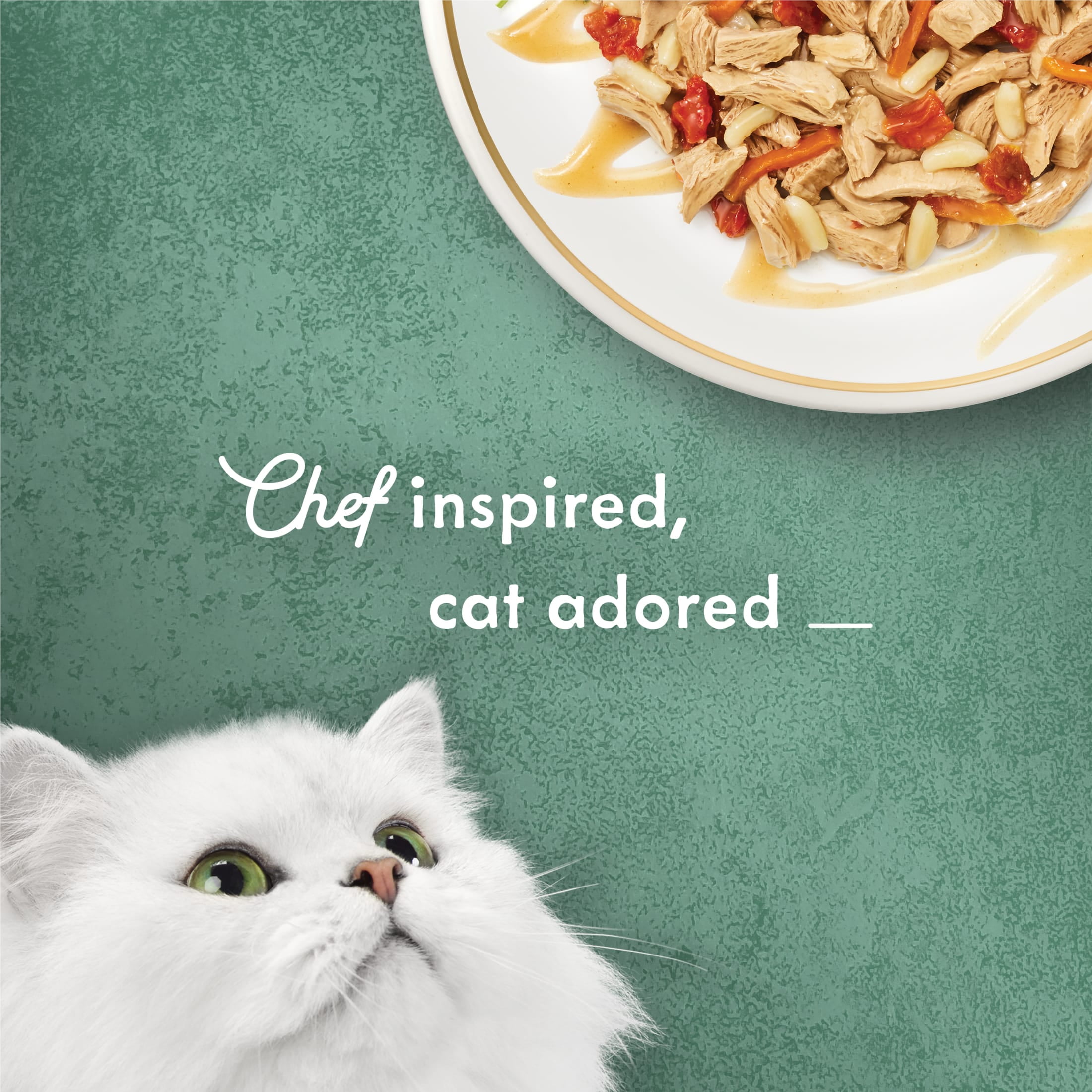 Fancy Feast Medleys Wet Cat Food Pork Barbacoa Recipe with Rice, Tomatoes and Carrots (3 oz) ymtuh