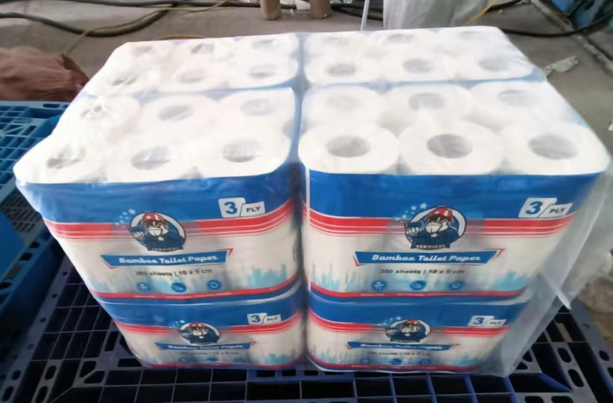 Patnot Premium Bamboo Toilet Paper (White, 12 Rolls) qev13