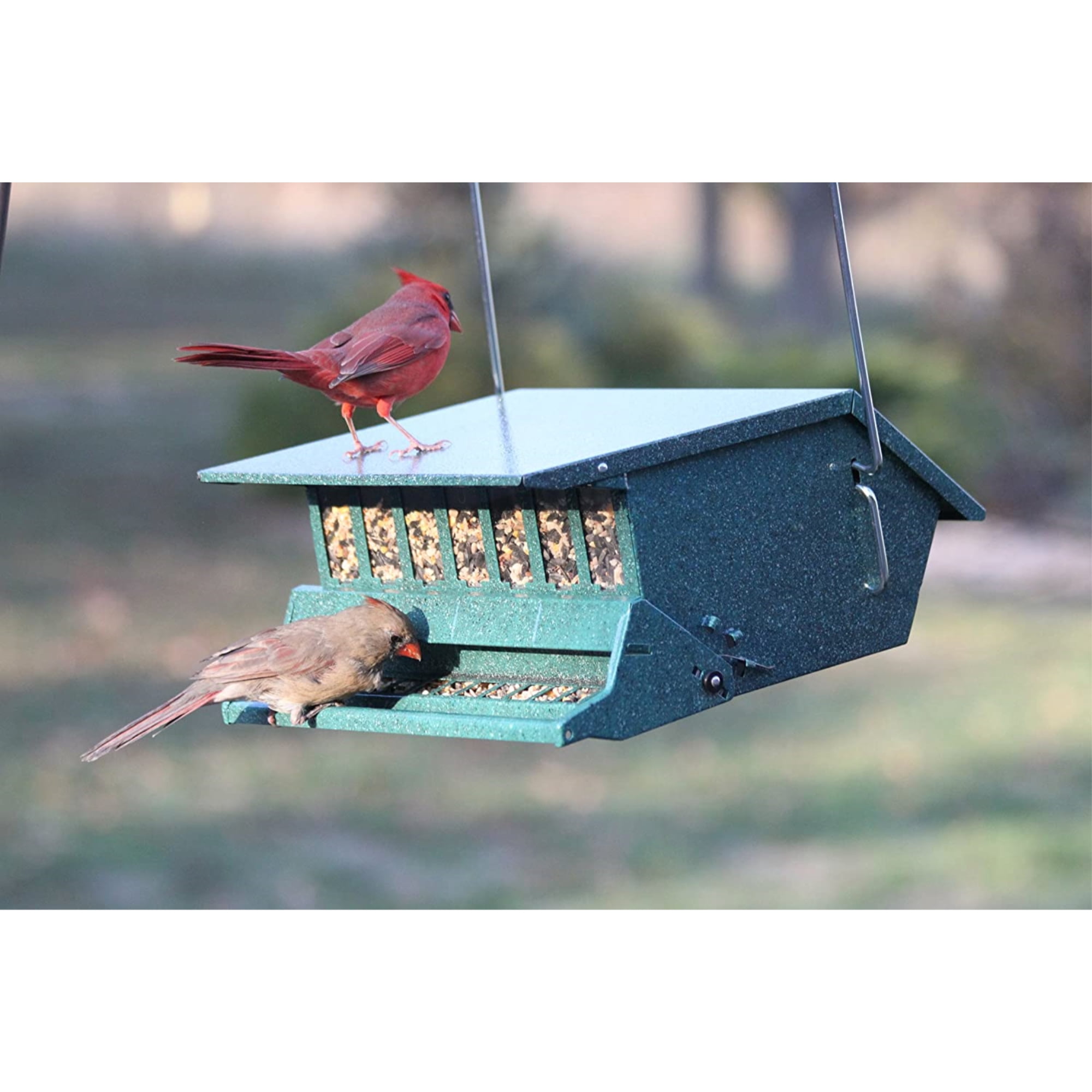 WoodLink Squirrel-Proof Bird Feeder with Weight-Activated Perch (Green, 9 lb Capacity) c7iws