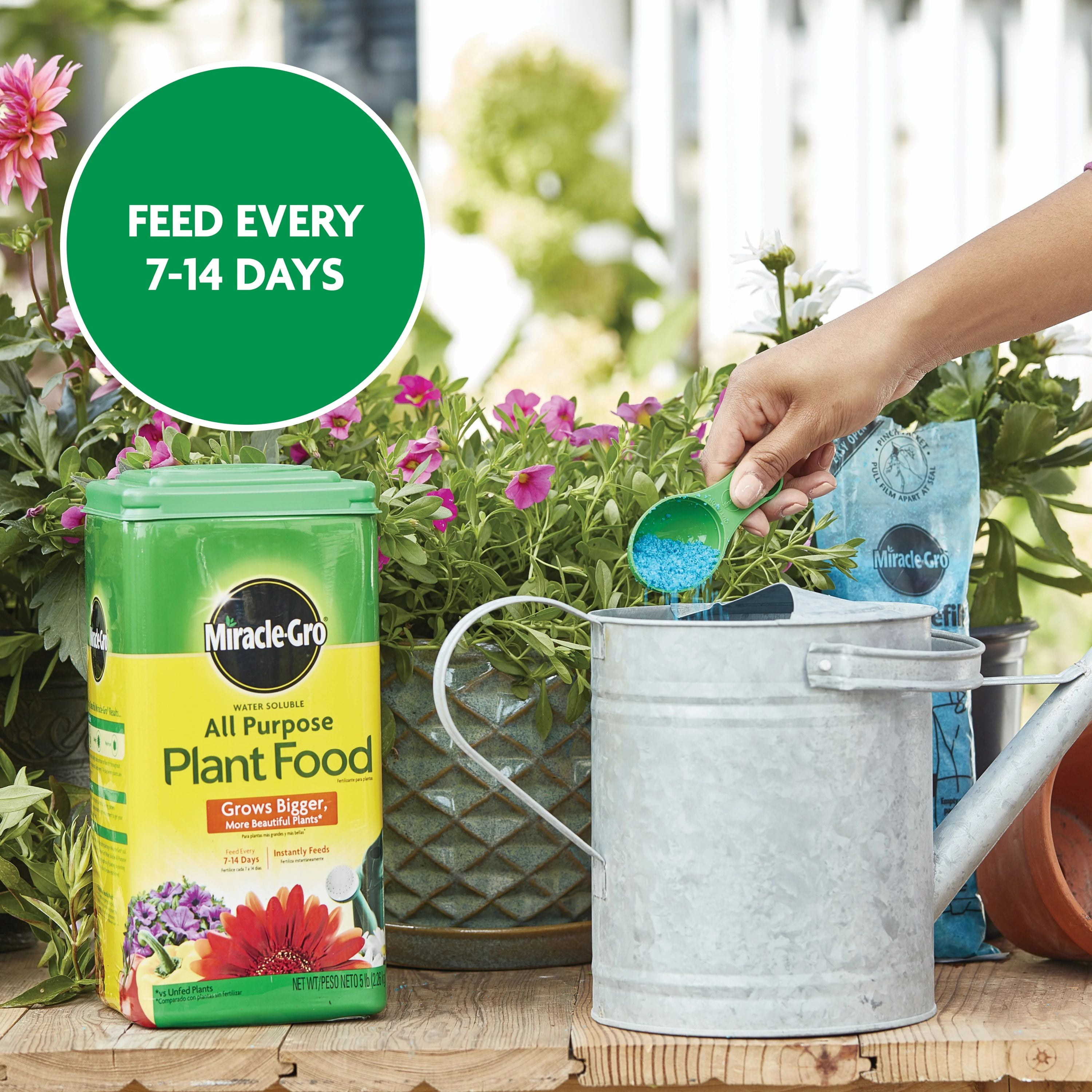 Miracle-Gro Water Soluble All Purpose Plant Food, Nutrient-Rich Fertilizer for Indoor and Outdoor Plants (5 lb) o2tap