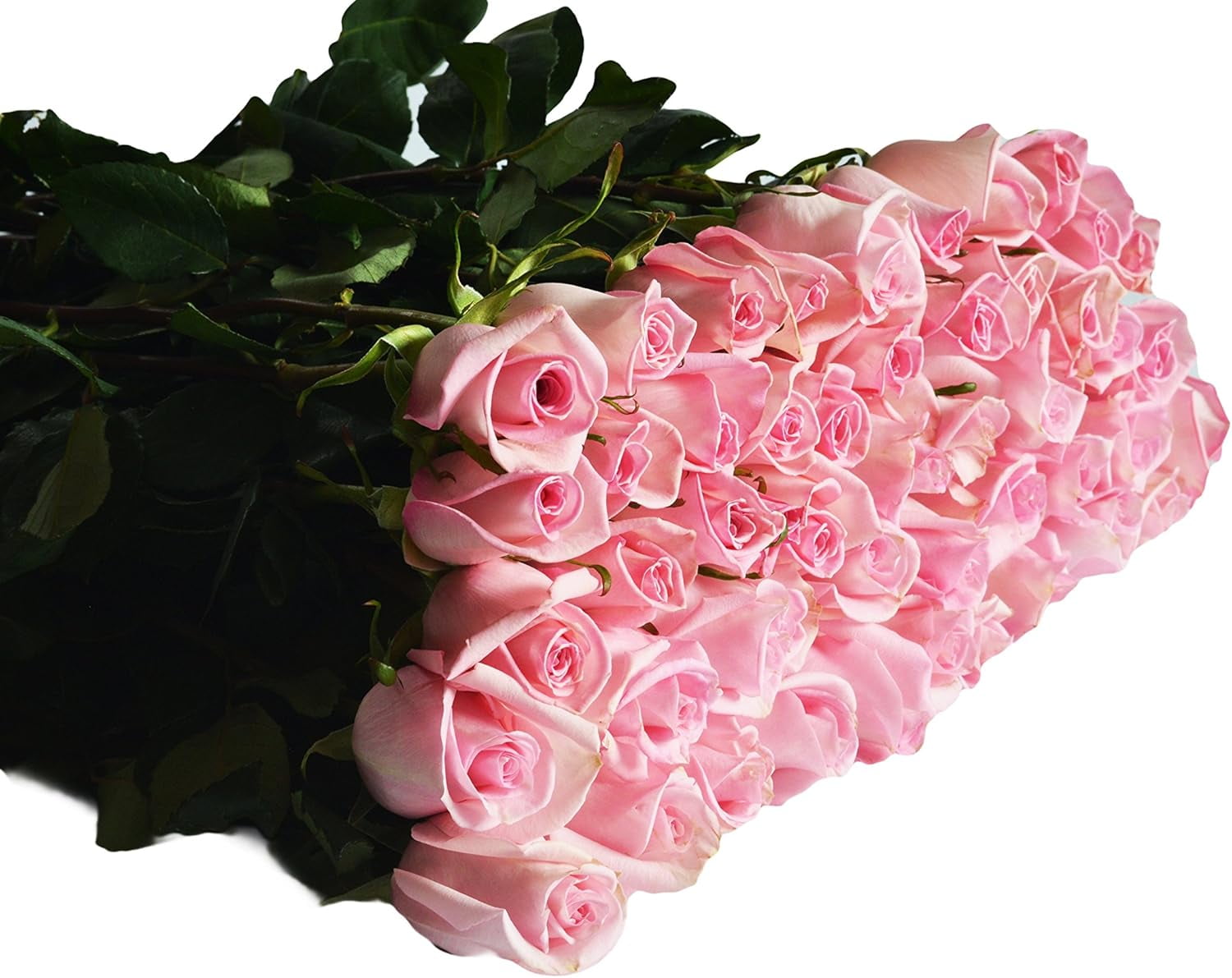 KaBloom Fresh Pink Roses Bouquet (Pink, 100 Stems) r6l1x