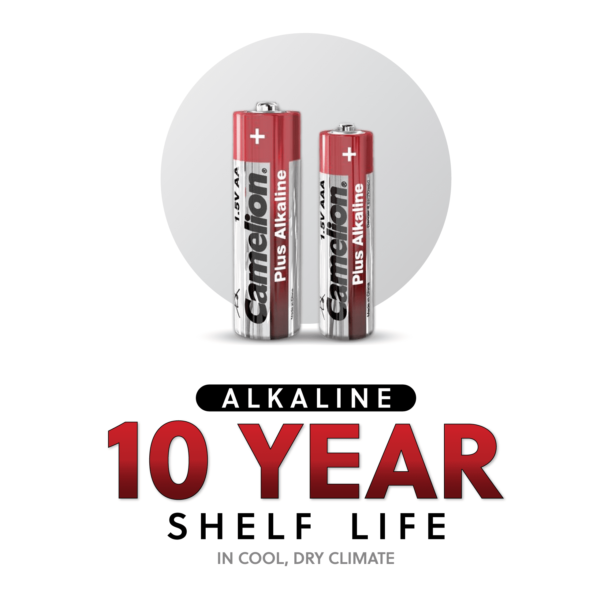 Camelion AA Alkaline Batteries, High Performance Long Lasting Power, Leakproof Design (48 Count) wm9es