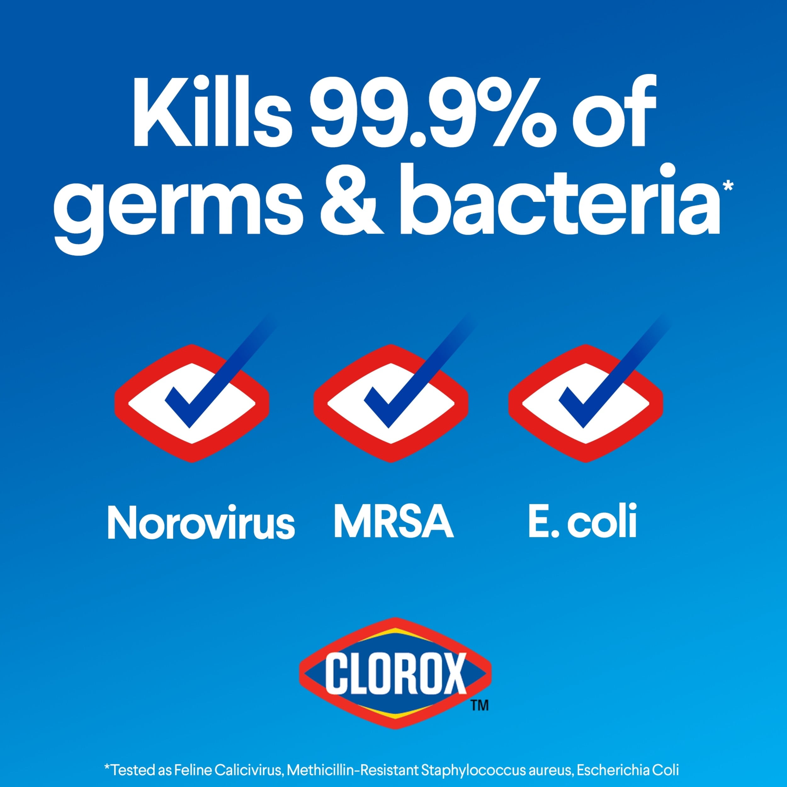 Clorox Disinfecting Bleach, Concentrated Laundry Whitener and Surface Cleaner (Regular, 2 Pack, 121 fl oz) hmznr