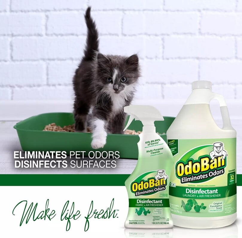 OdoBan Disinfectant and Odor Eliminator Multi-Purpose Cleaner (Original Eucalyptus Scent, 1 Gallon Concentrate and 32 oz Ready-to-Use Spray) 52hgw