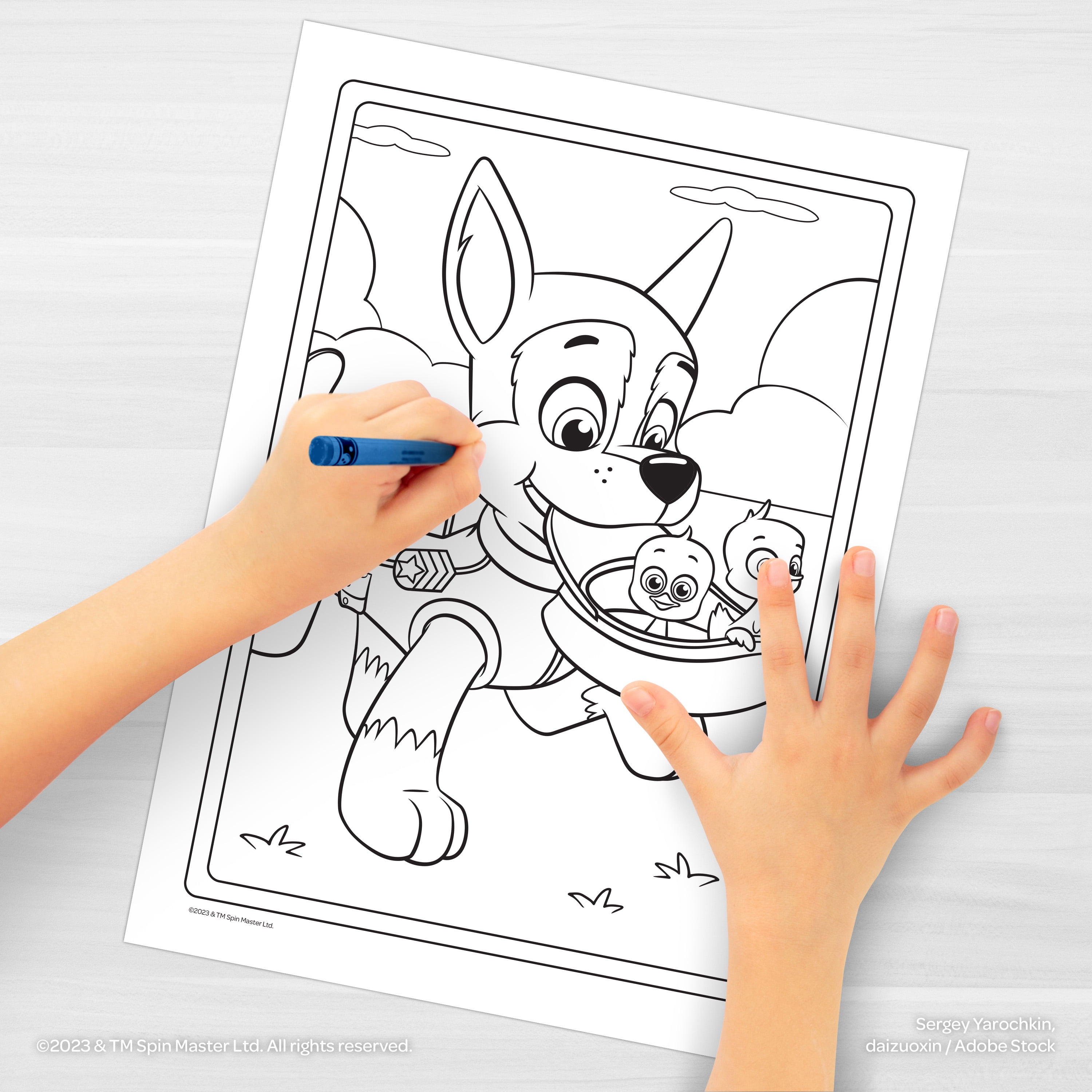 PAW Patrol Jumbo Coloring Book, Activity Book for Kids (64 Pages, 10.75 in x 7.75 in) rot9i