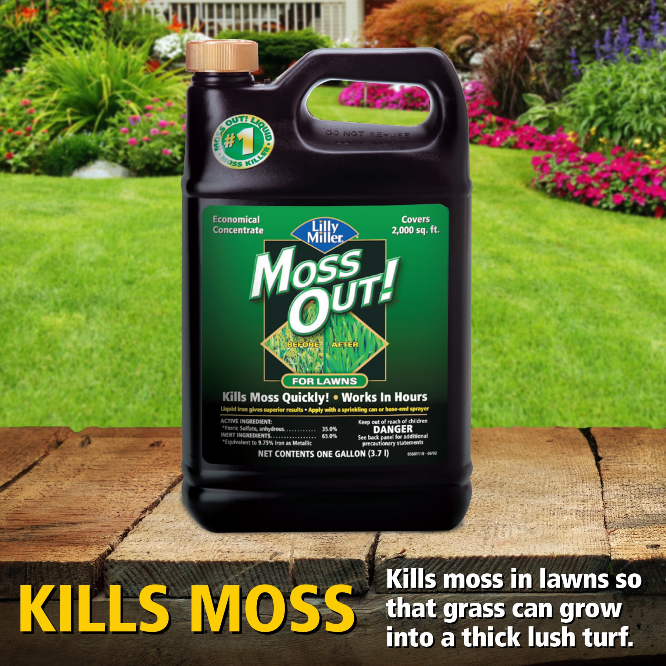 Lilly Miller Moss Out! Lawn Moss Killer Herbicide Concentrate (128 fl oz) nnw33