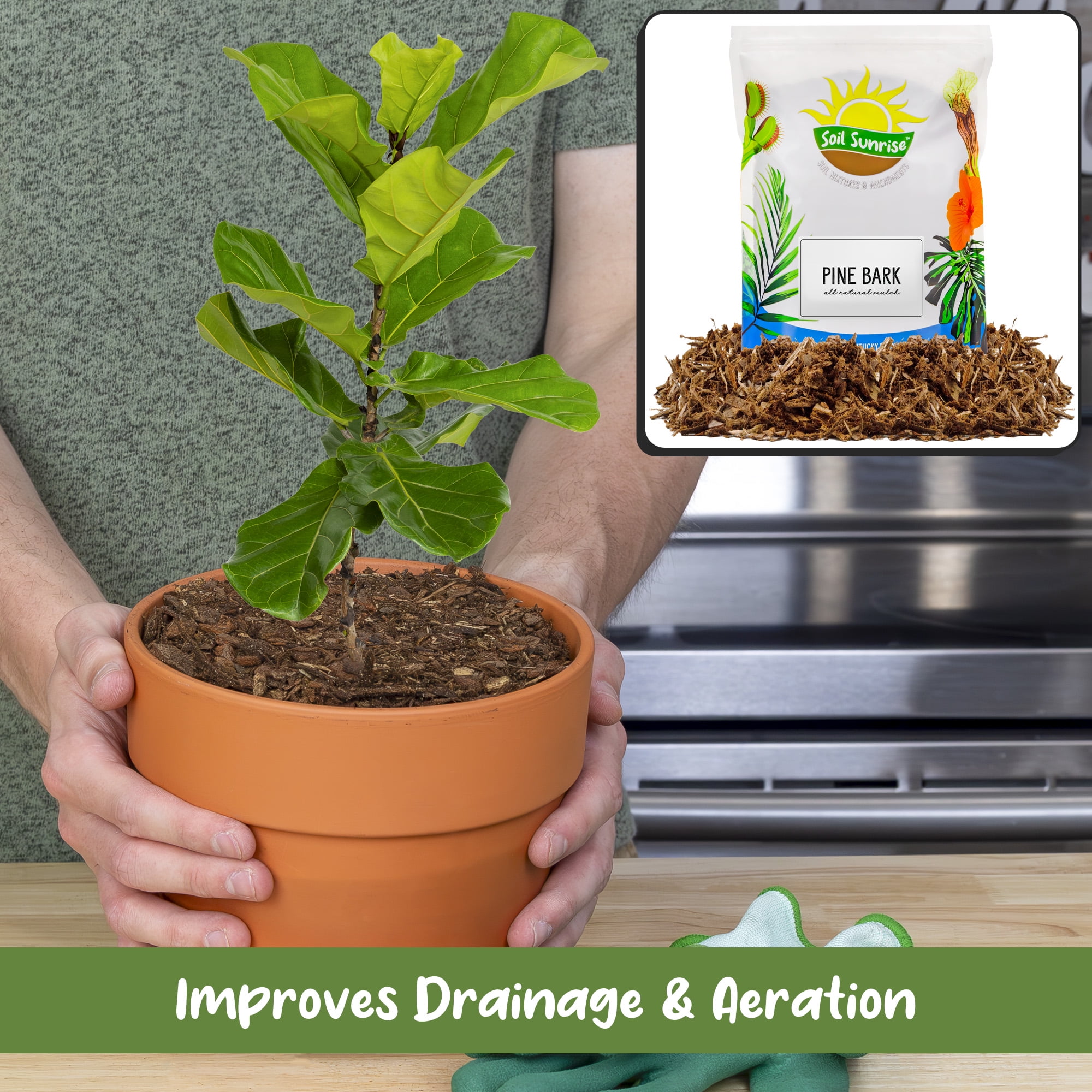 Soil Sunrise Natural Pine Bark Mulch Nuggets for Gardening and Terrariums (Brown, 12 Quarts) qdbsn