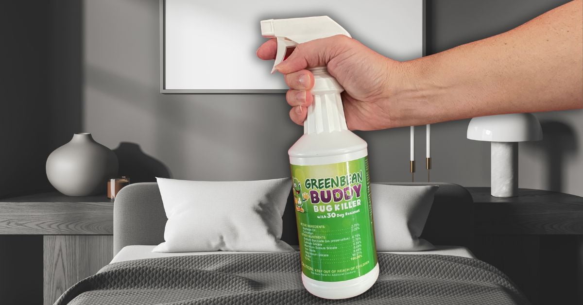 Green Bean Buddy Bed Bug, Flea, Tick, and Roach Killer Spray (Green, 32 oz) w2pmf