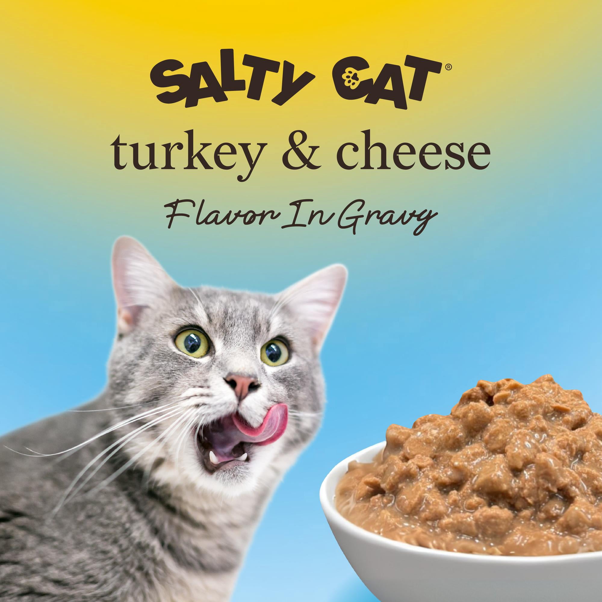 Salty Cat Turkey and Cheese Flavor Wet Cat Food in Gravy (6 Pack, 13 oz) xeh1b