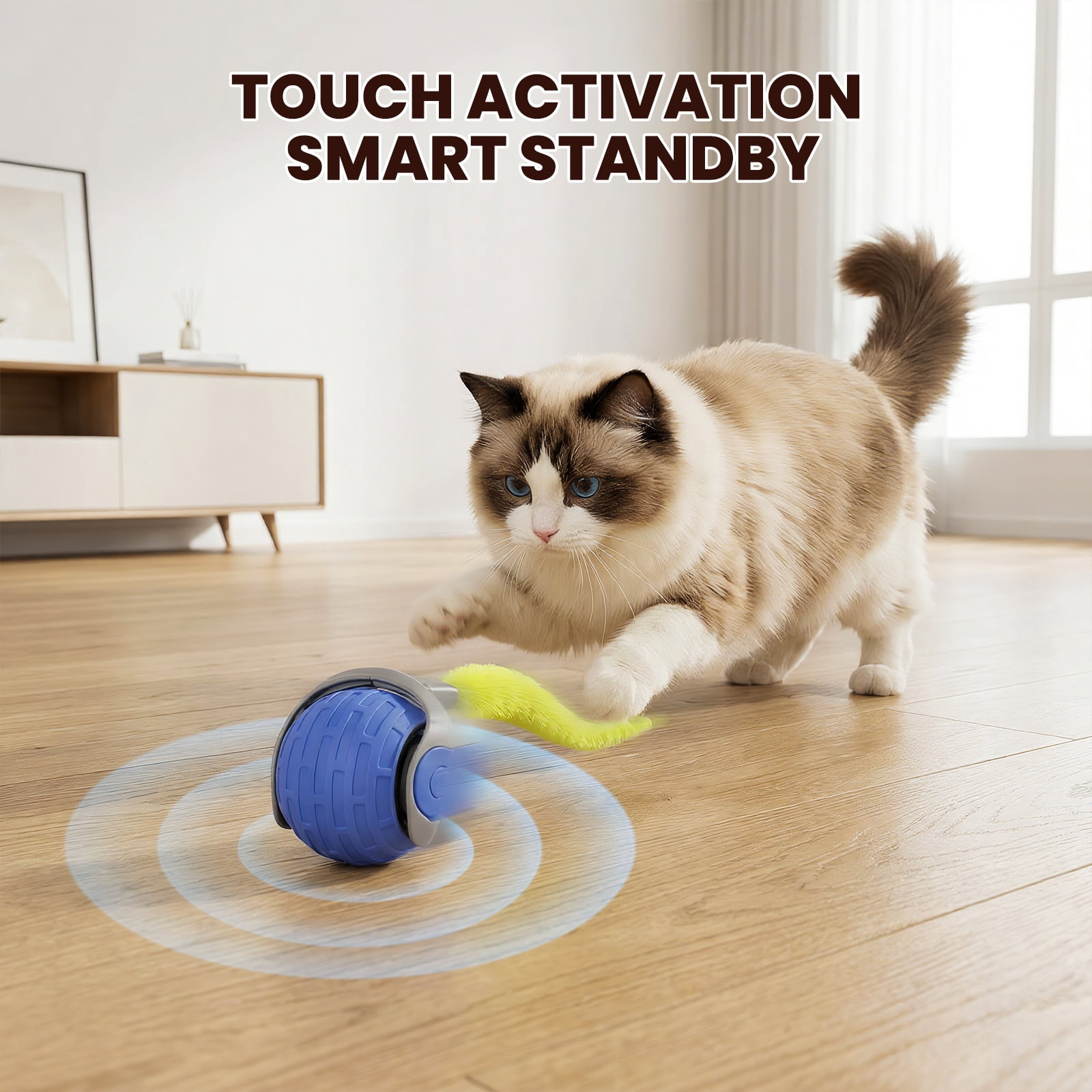 Absoke Interactive Cat Toy Ball with Feather Tails, Automatic Rolling Motion for Indoor Cats (Blue-Orange, 2 Pack) nof74