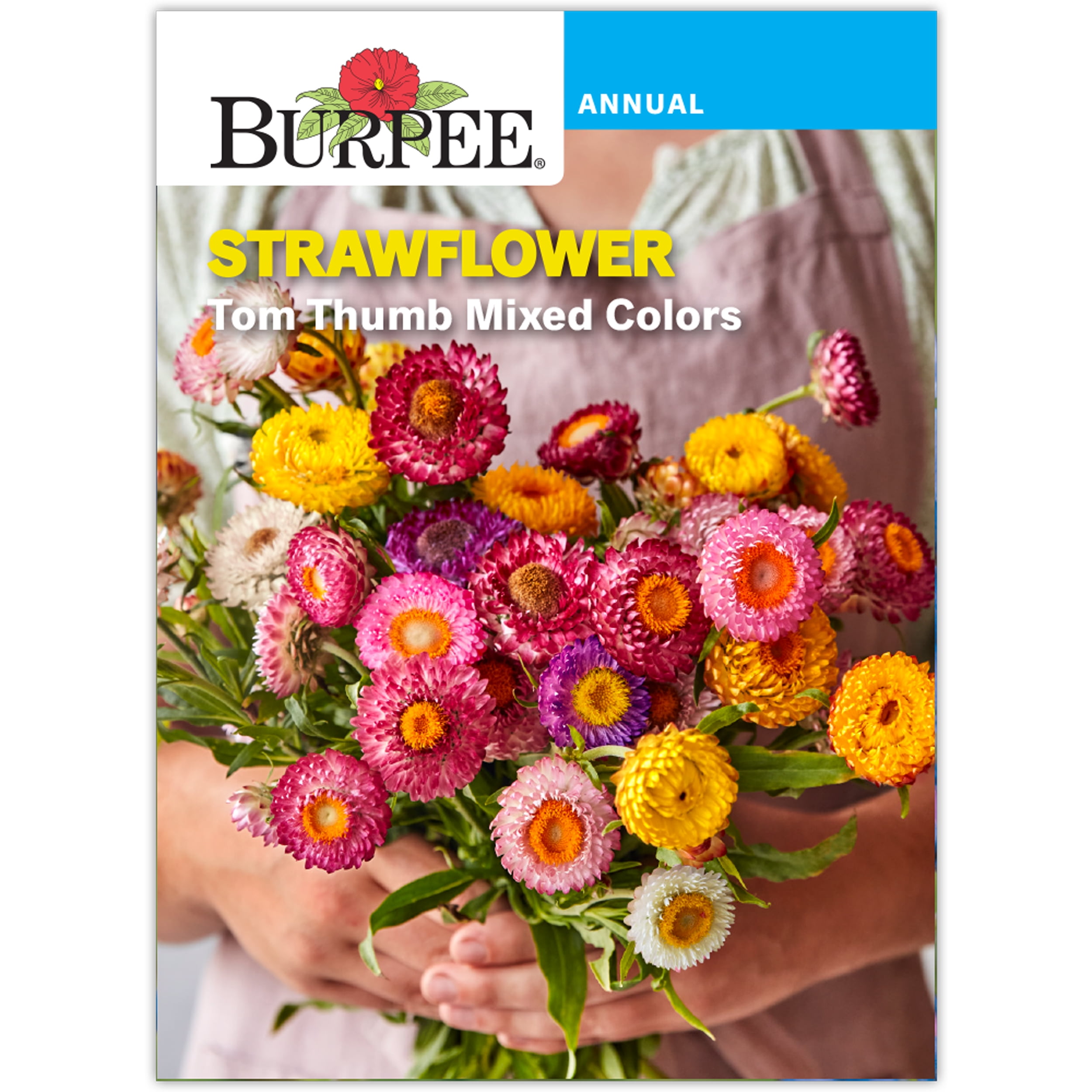 Burpee Tom Thumb Strawflower Seeds (Mixed Colors, 15 in Height) m9go4