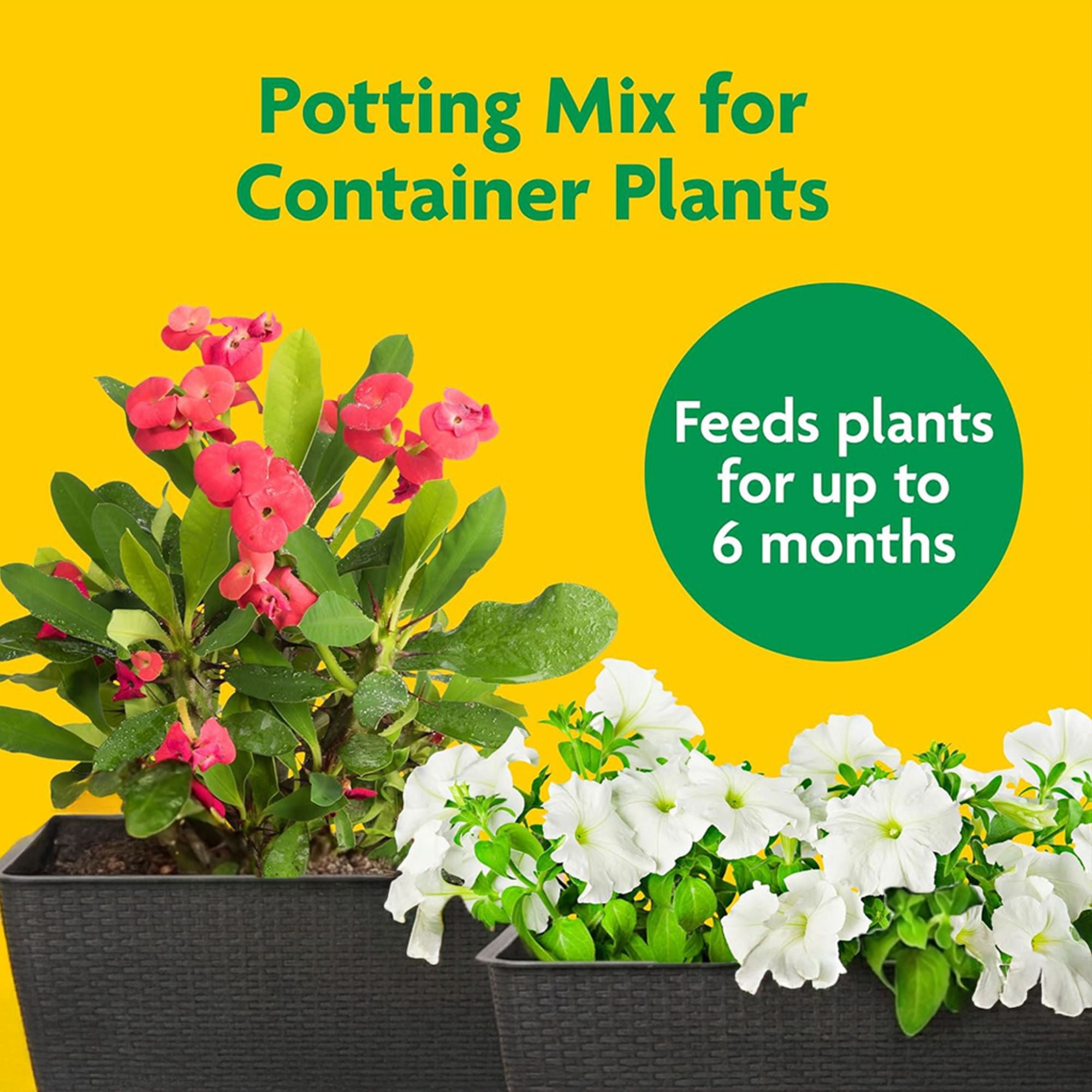 Miracle-Gro Potting Mix and Indoor Plant Food Spikes (2 cu ft Soil, 24-Pack Spikes) h4ot8