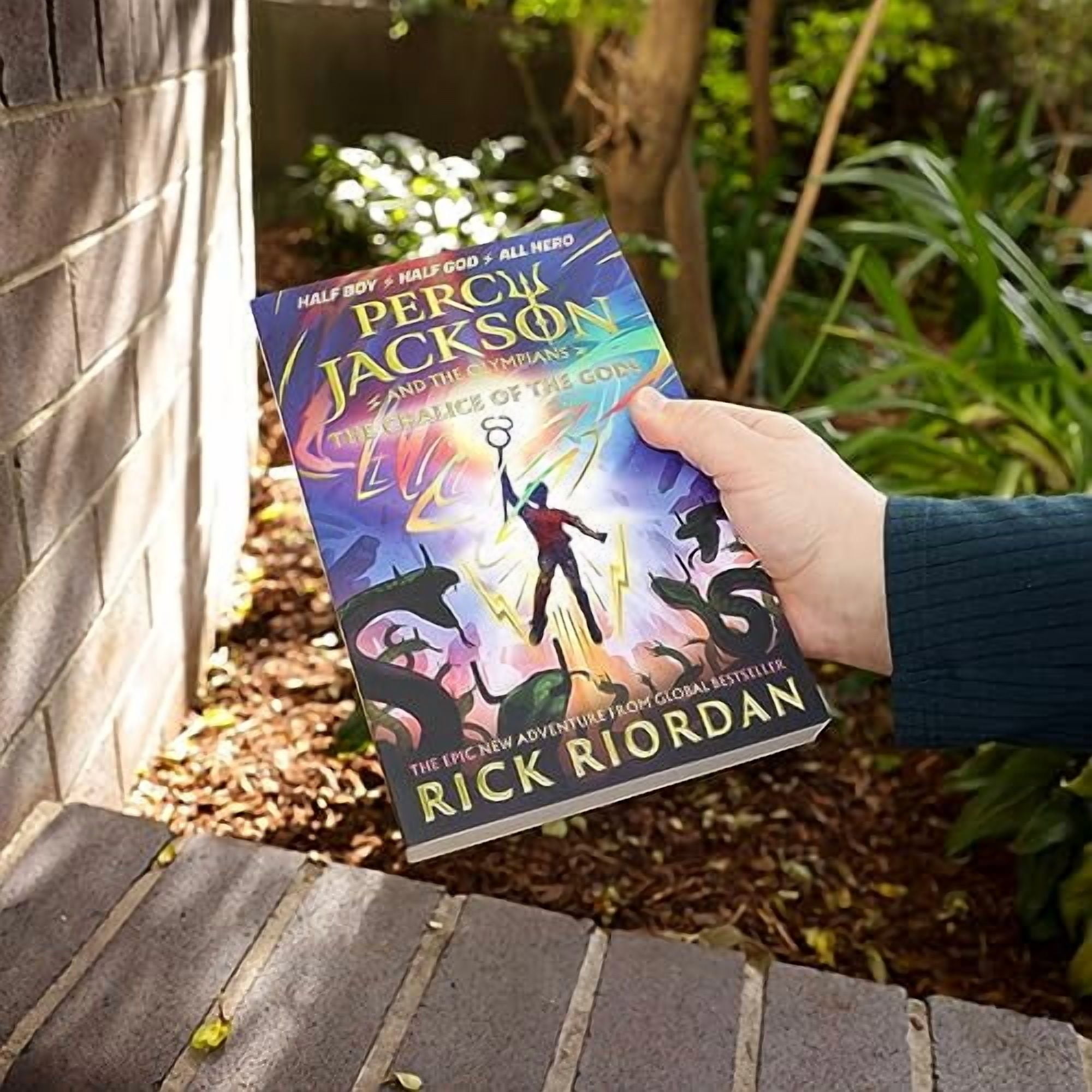 Puffin The Chalice of the Gods by Rick Riordan (Percy Jackson Series, Paperback) srhed