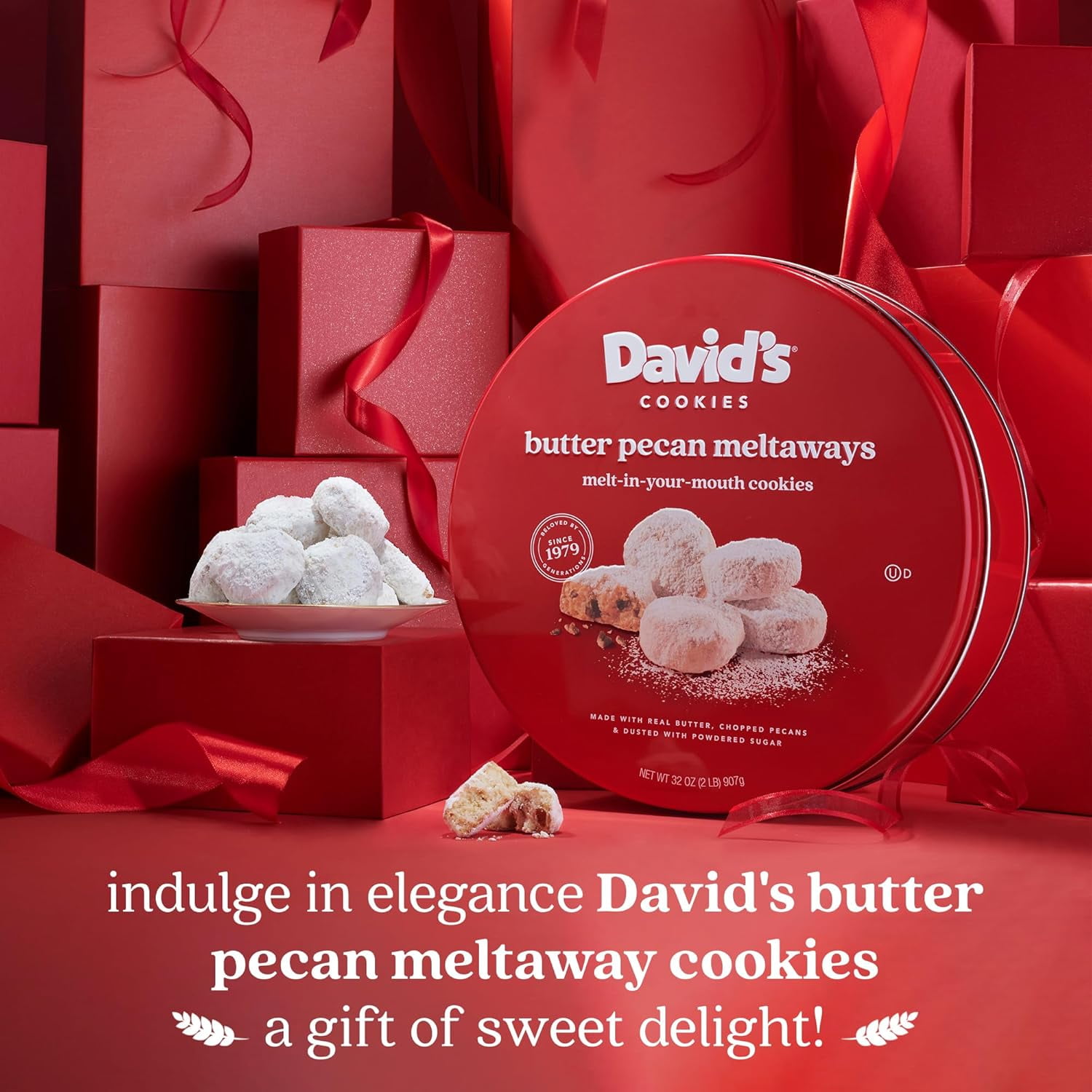David’s Cookies Butter Pecan Meltaway Cookies, Gourmet Bakery Dessert in Gift Tin (32 oz) tolvf