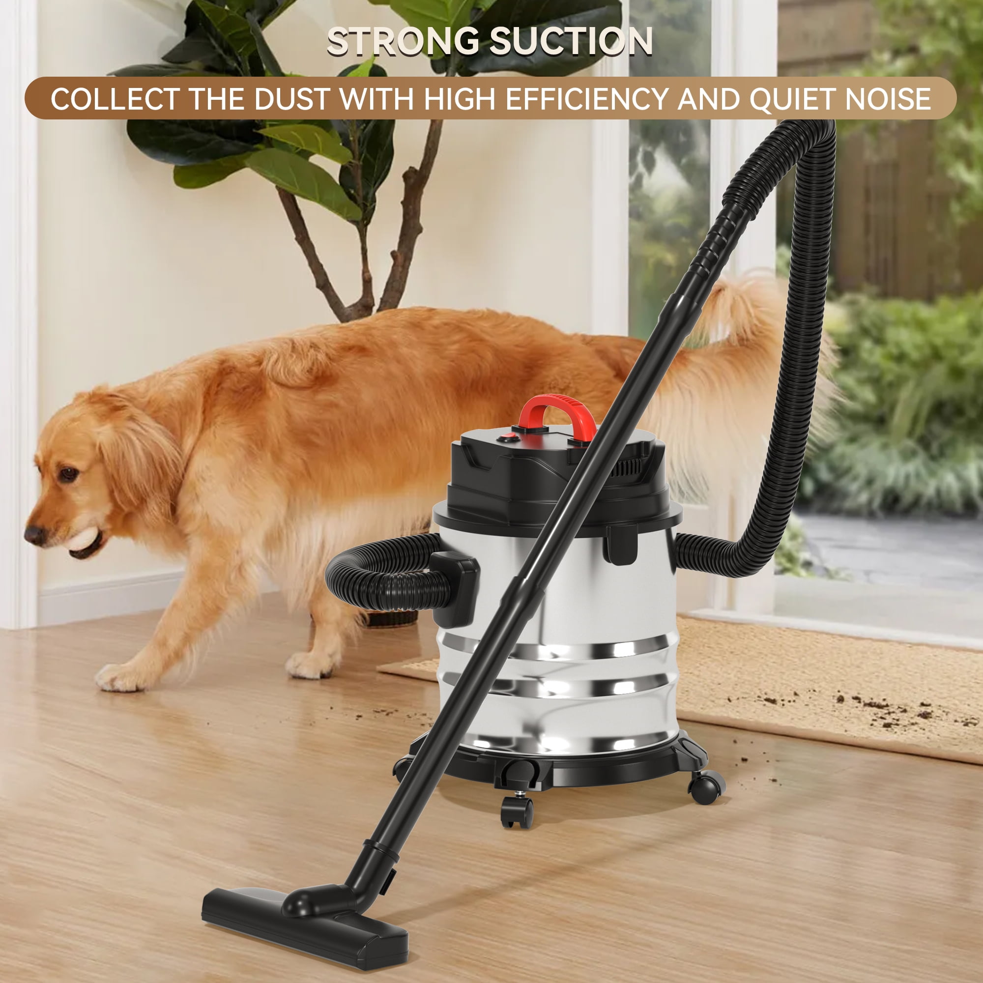 Topteng Wet Dry Shop Vacuum, Heavy-Duty Stainless Steel Cleaner for Garage and Workshop (4.75 Gallon) spfq3