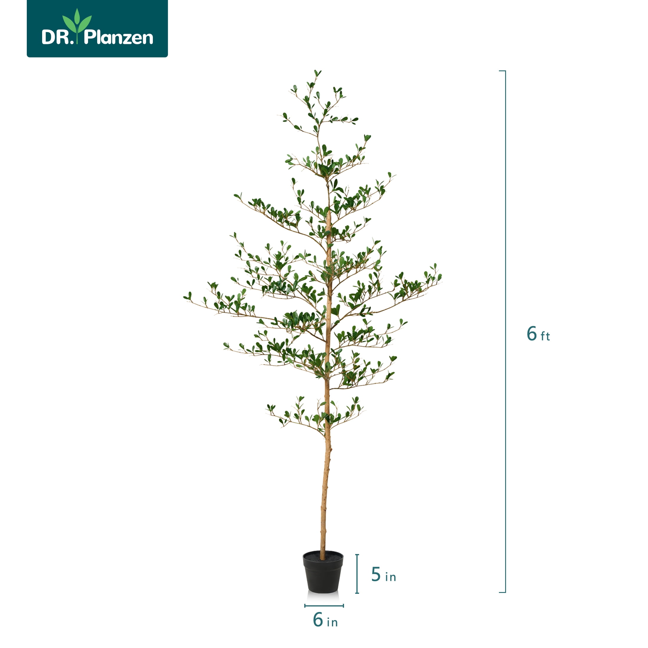 DR.Planzen 6ft Faux Black Olive Tree, Realistic Artificial Potted Plant with Natural Trunk and Silk Leaves (Black, 6 ft) nq7hy