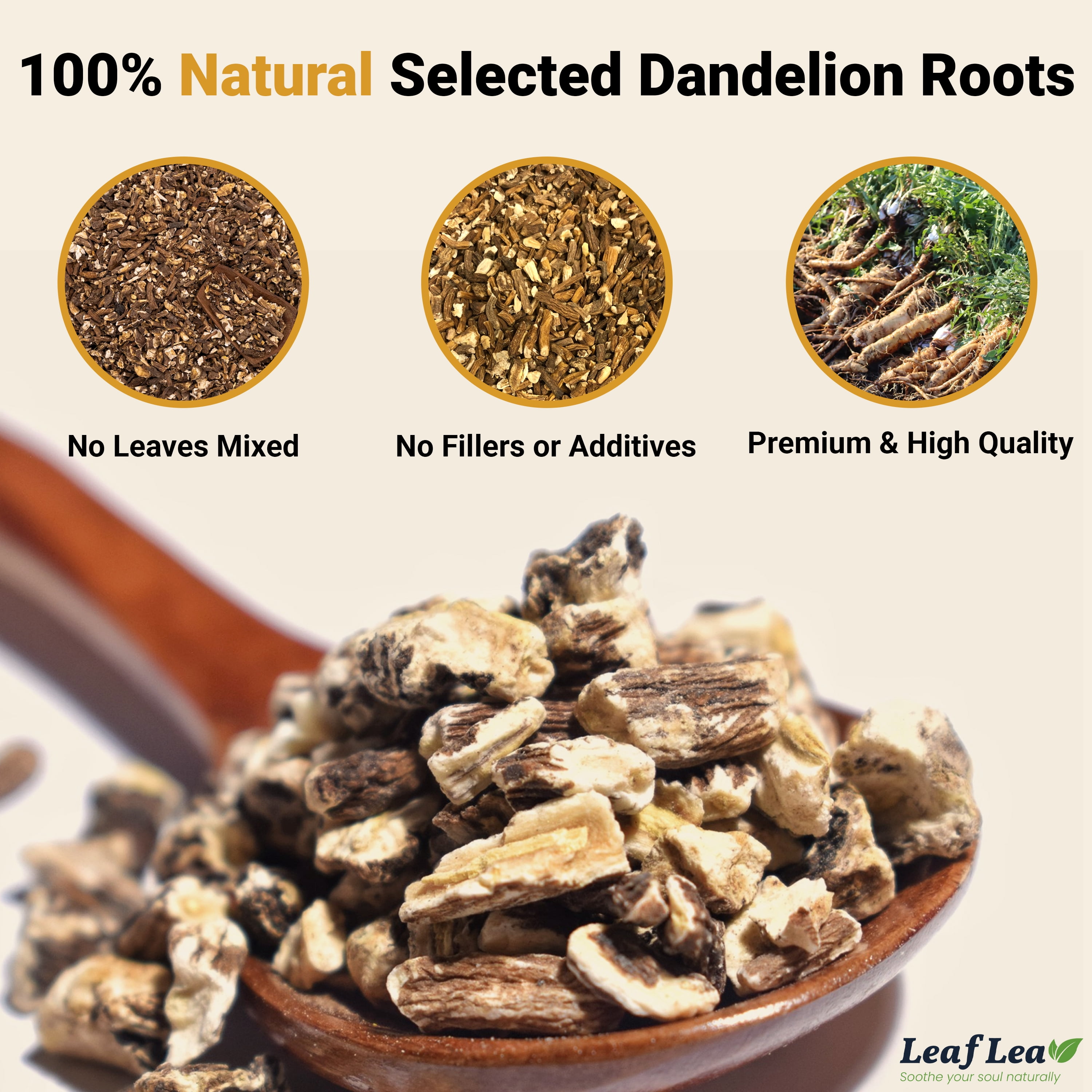 LeafLea Dandelion Root Herbal Tea Bags, Caffeine-Free Natural Tea Blend (240 Count, 6 Packs) l146r