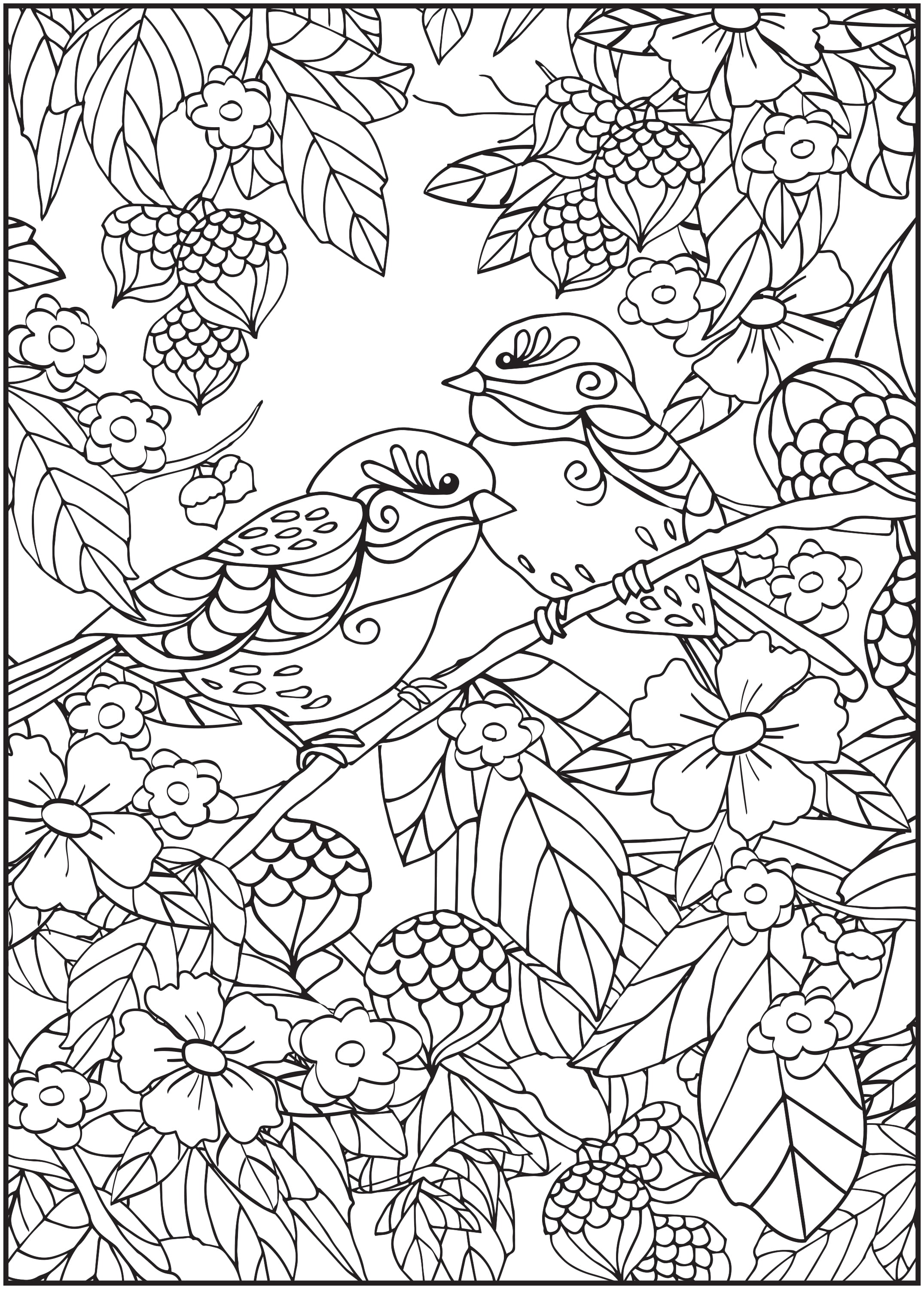 Cra-Z-Art Timeless Creations Feathered Friends Adult Coloring Book (64 Pages) fflf4