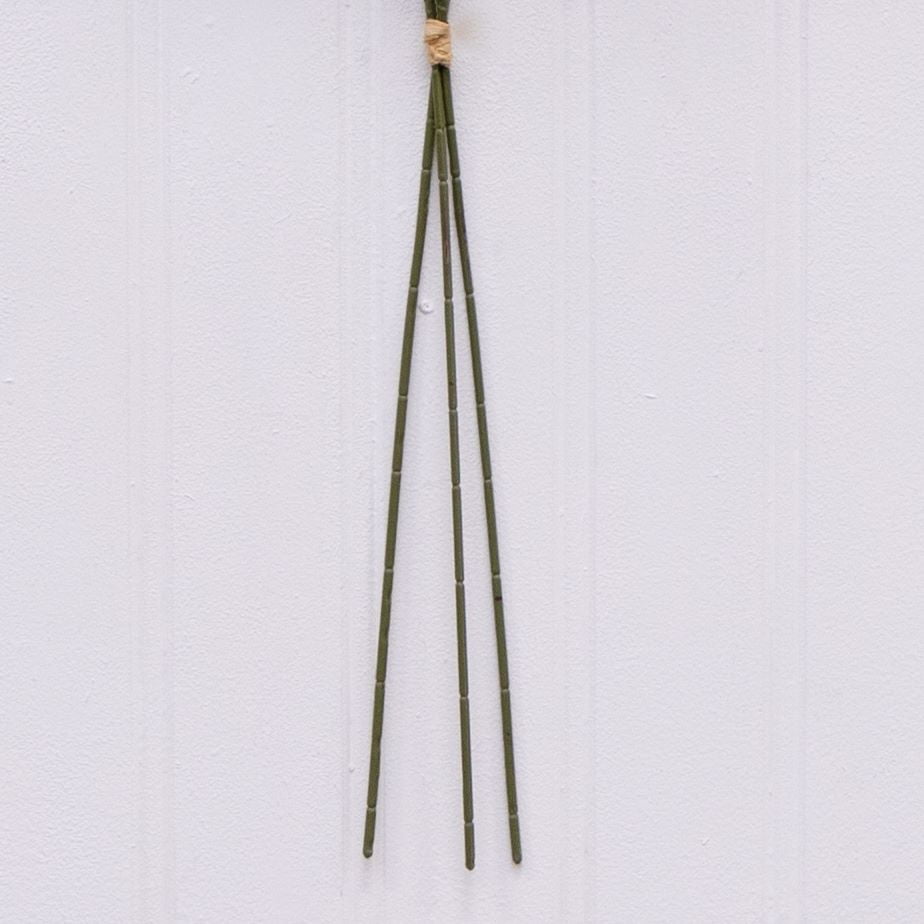 Better Homes & Gardens Artificial Dried Rice Stem Decor, Realistic Indoor Floral Arrangement (33 in, 2 Pack) pbfng
