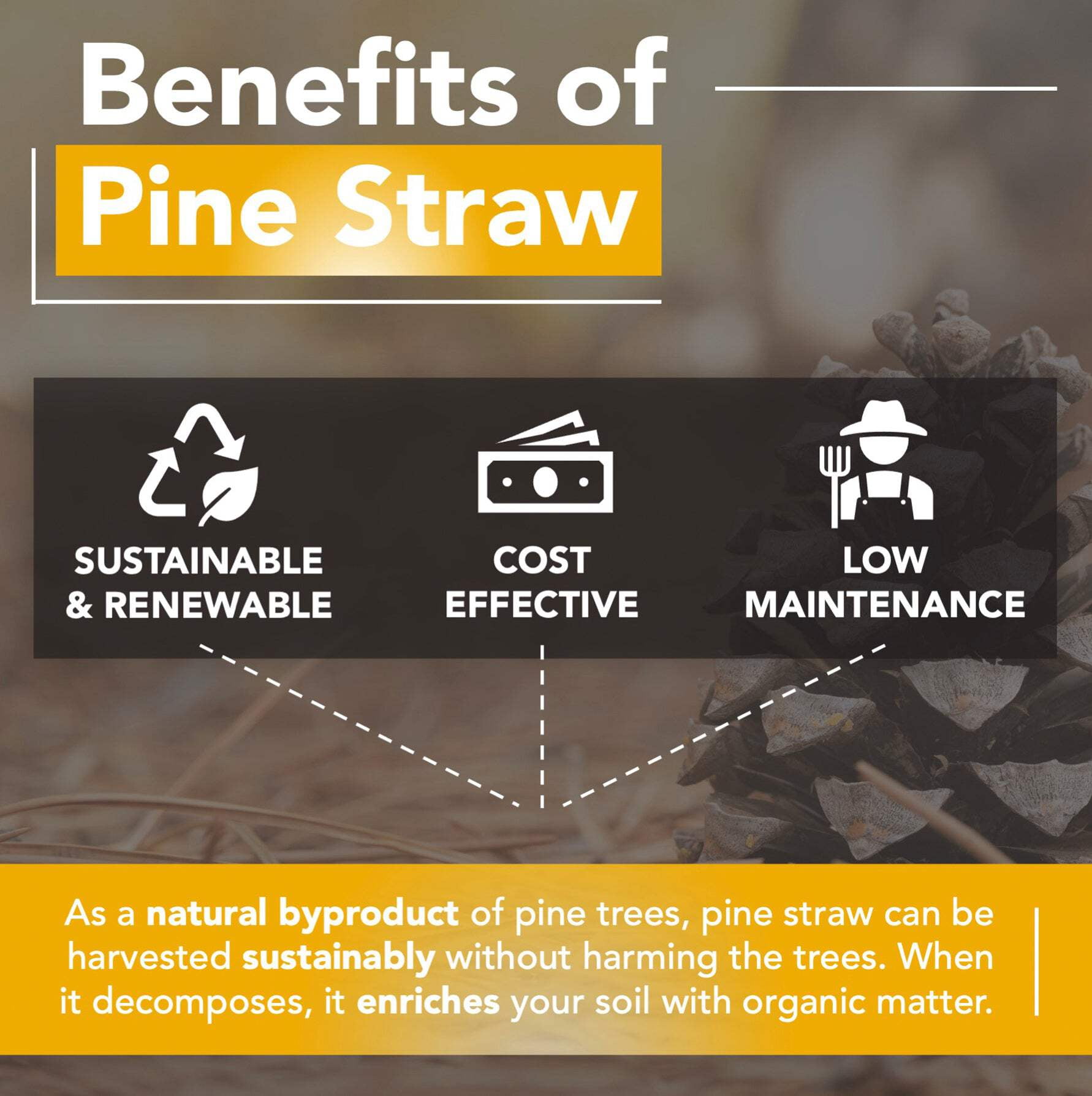 Premium Pine Straw Mulch Bale for Landscaping and Gardening (Black, 35 lb) bffac