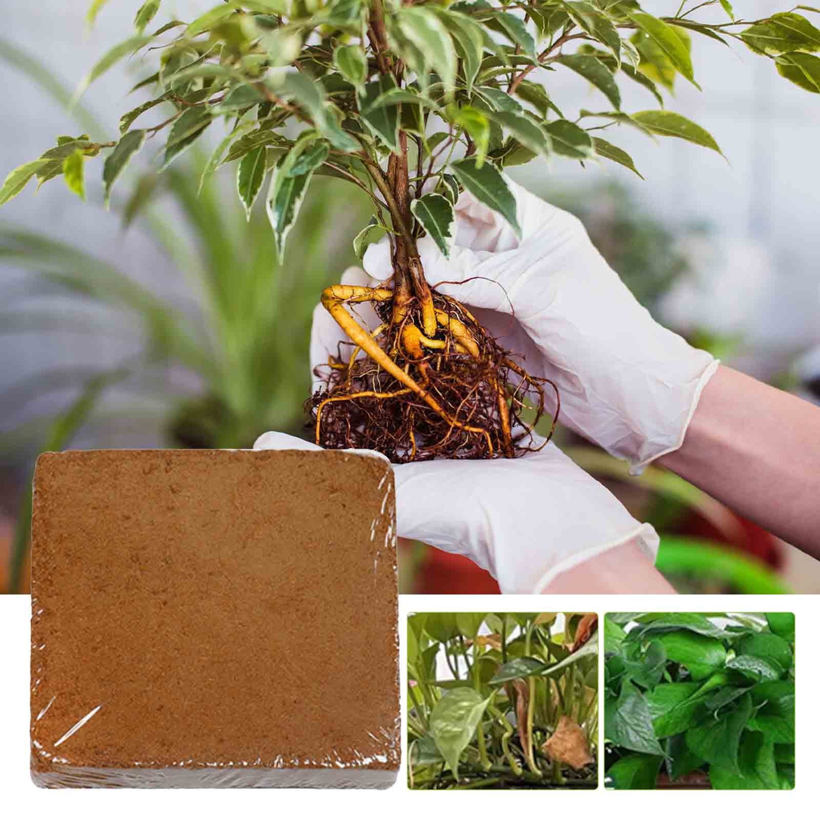 Ontiwes Coconut Coir Fiber Bricks Organic Potting Soil Substitute for Plants and Hydroponics (1.32 gal) 7flvd