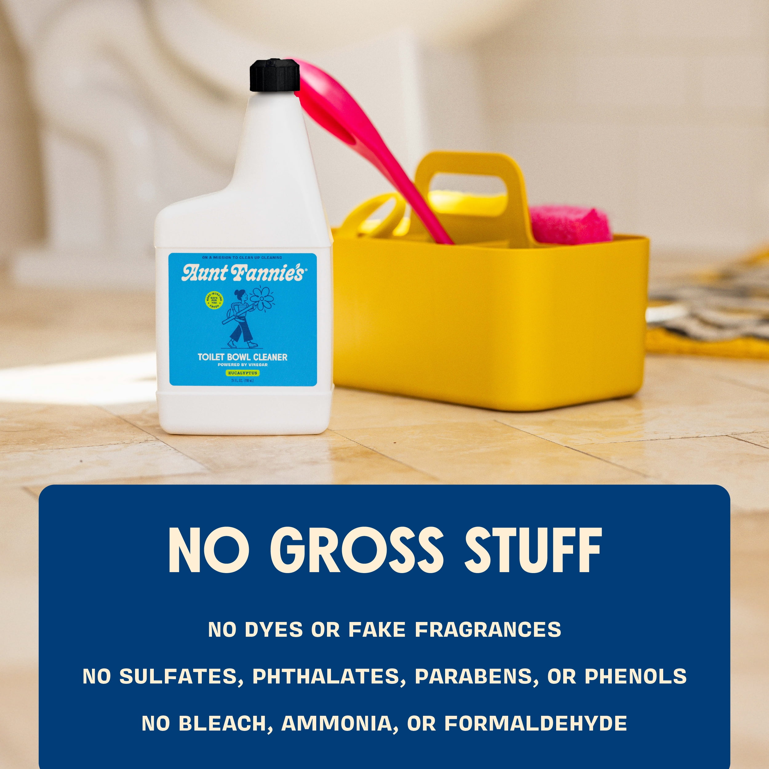 Aunt Fannie’s Toilet Bowl Cleaner, Vinegar-Powered Stain Remover, Eucalyptus Scent (24 fl oz) 1ug7m
