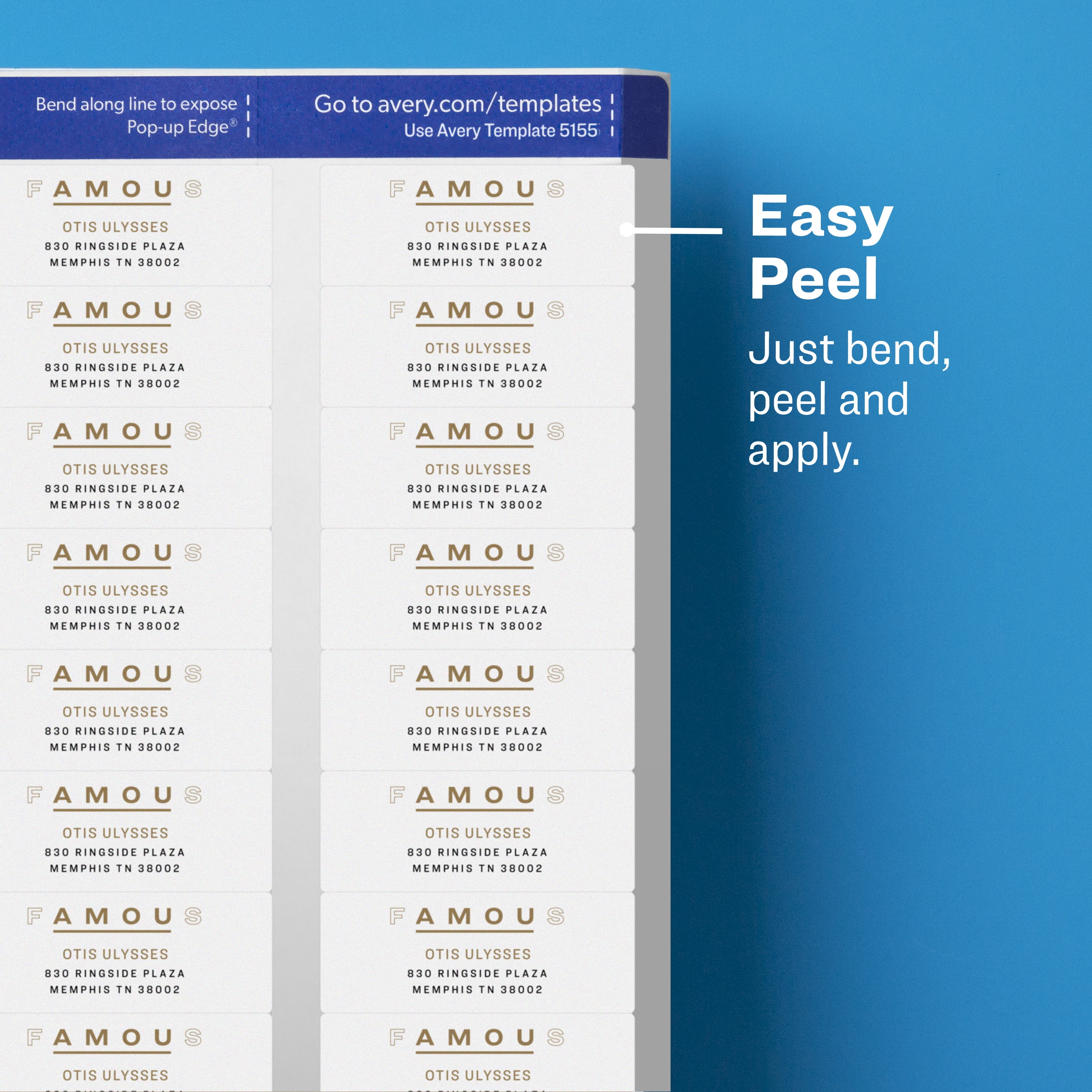 Avery Return Address Labels, Clear Mailing Stickers for Printers (0.67 in x 1.75 in, 600 Count) 0a5x4
