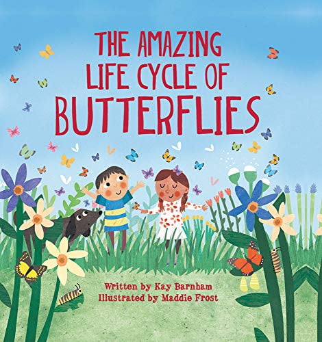Sourcebooks The Amazing Life Cycle of Butterflies Educational Nature Book (Hardcover, Pre-Owned) ht8uo