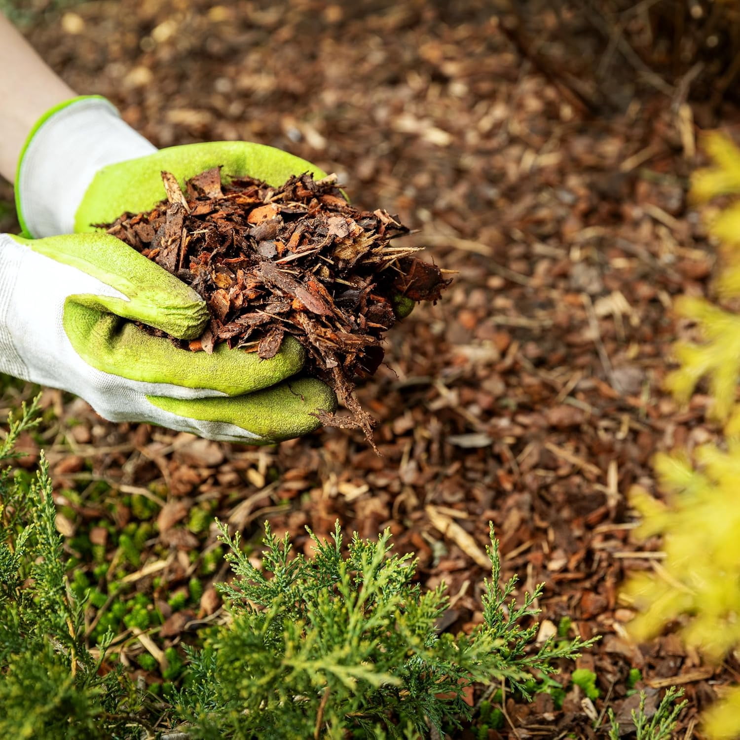 ZCXP Premium Brown Wood Mulch for Garden Beds and Potted Plants (Brown, 1 cu ft) qwuyt