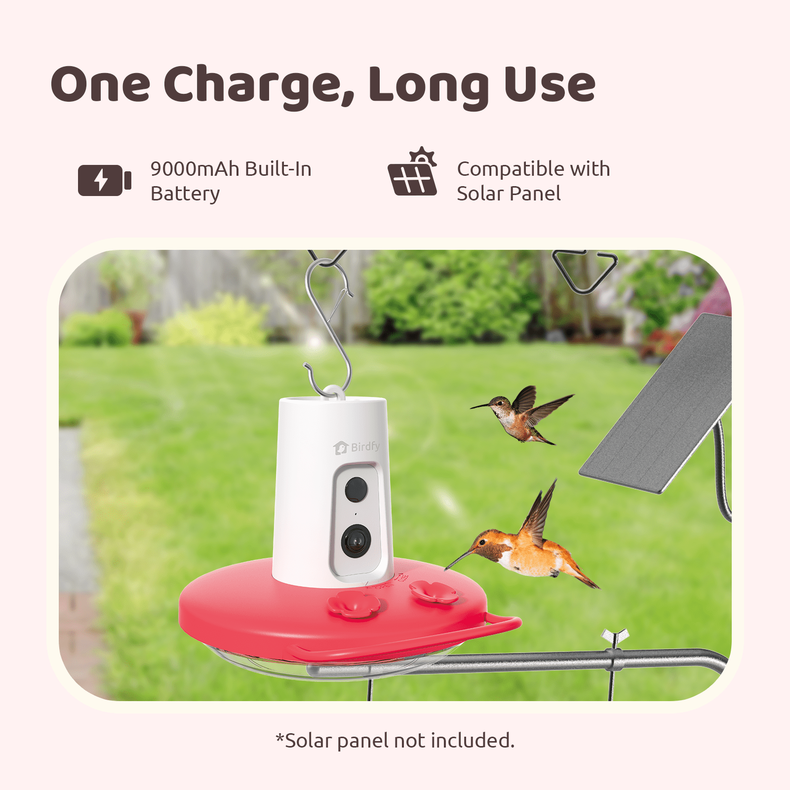 Birdfy Hummingbird Feeder with Camera, 1080P FHD Smart Bird Watching Station with AI Species Identification and Ant Moat (Red) wz3wt
