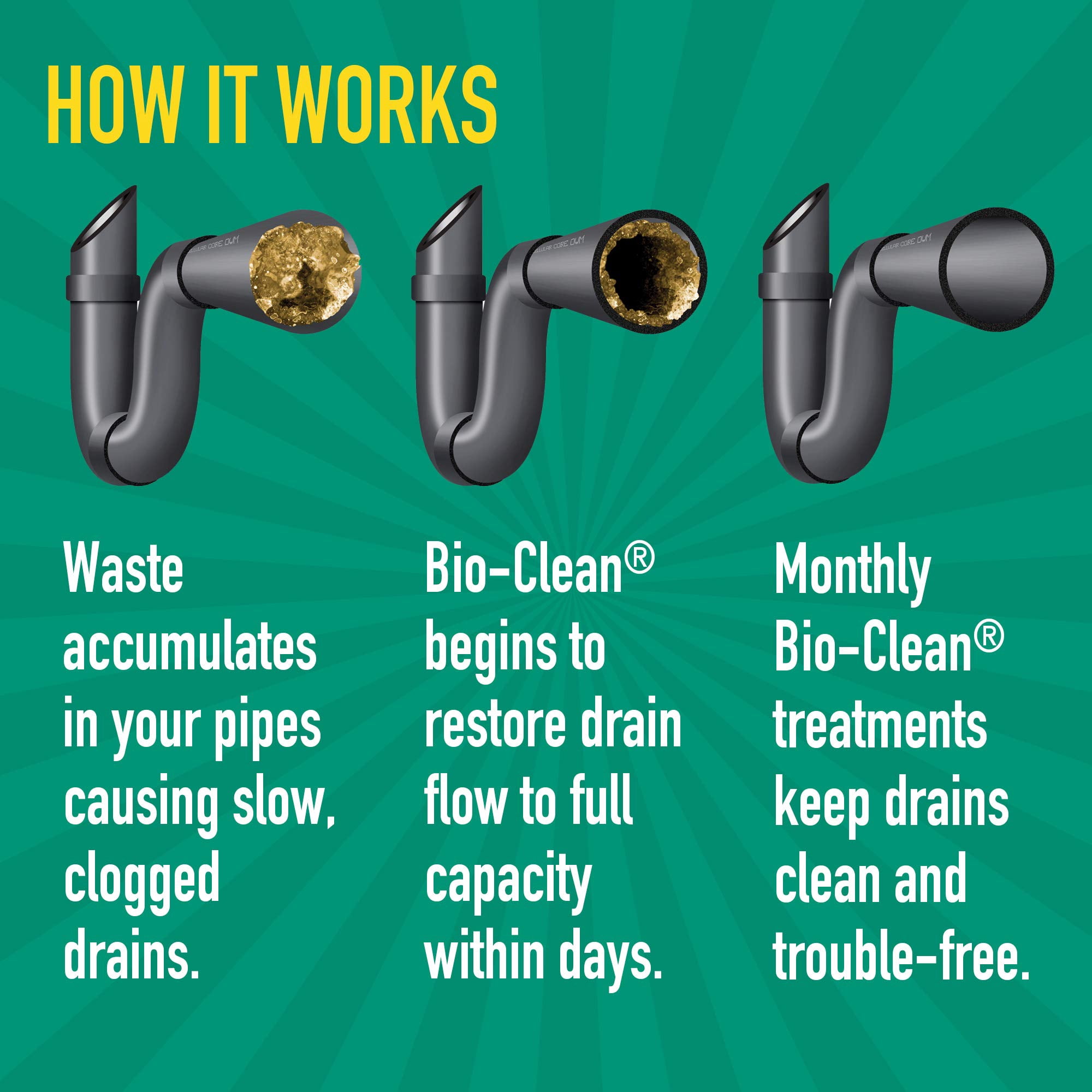 Bio-Clean Drain and Septic System Treatment (Natural Enzyme Cleaner, 32 oz) ug7wb