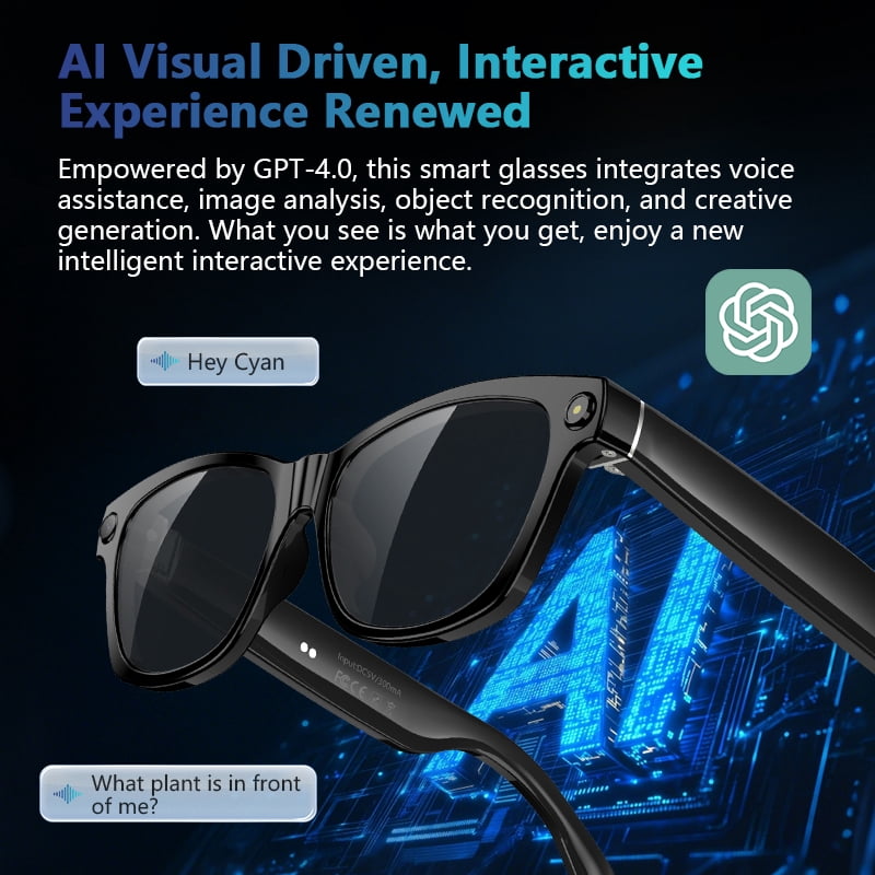 Blackview AI Smart Glasses with 1080P Camera, Real-Time Translation, and Polarized Lenses (Black, One Size) 7smet