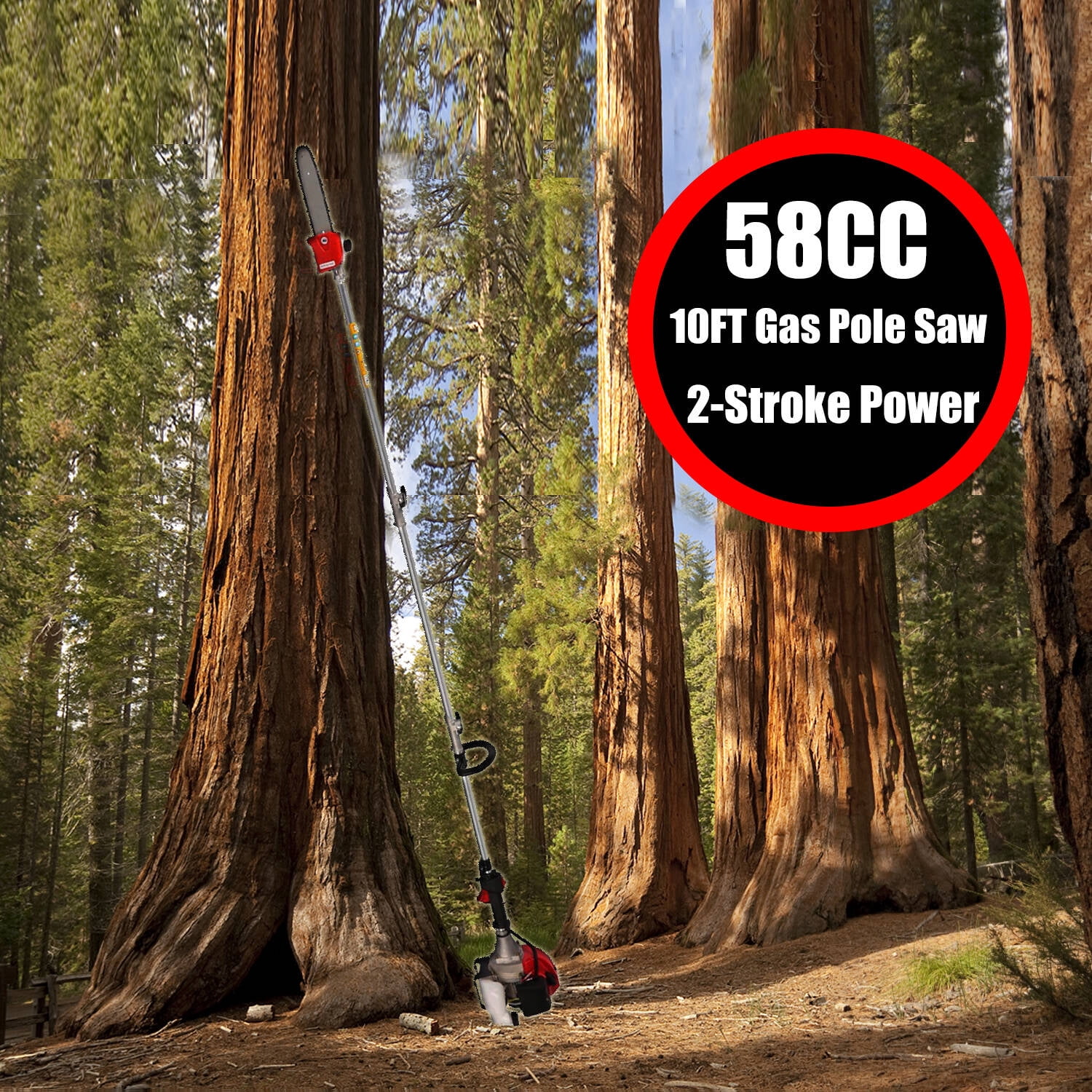 Adnoom 58cc Gas Pole Saw Chainsaw for Tree Trimming, Extendable Branch Cutter with 11.5 in Guide Bar (Red, 10 ft) vujqf