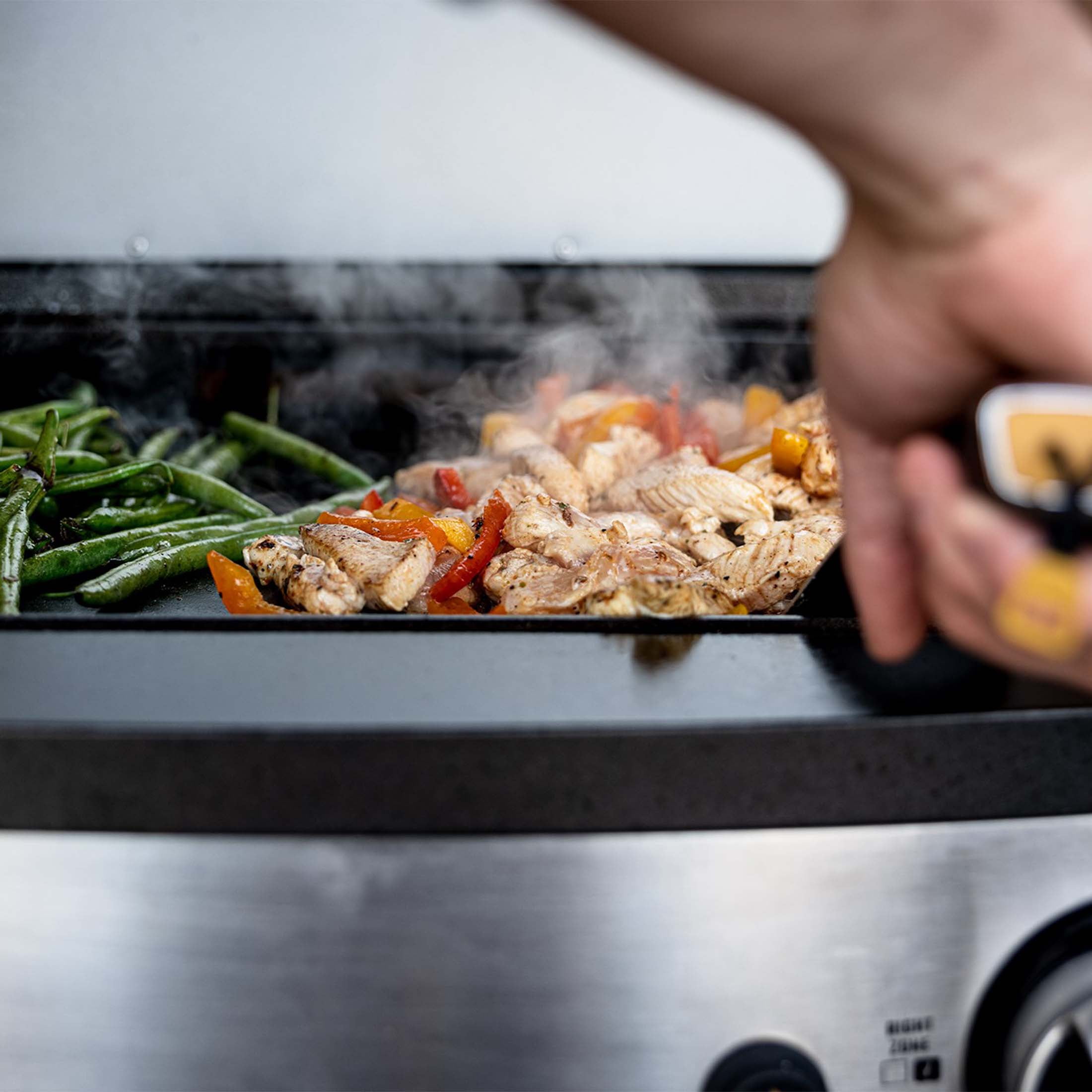Halo Elite1B 1-Burner Outdoor Propane Gas Griddle with 2-Zone Cooking (Black, 284 sq in) agkdn