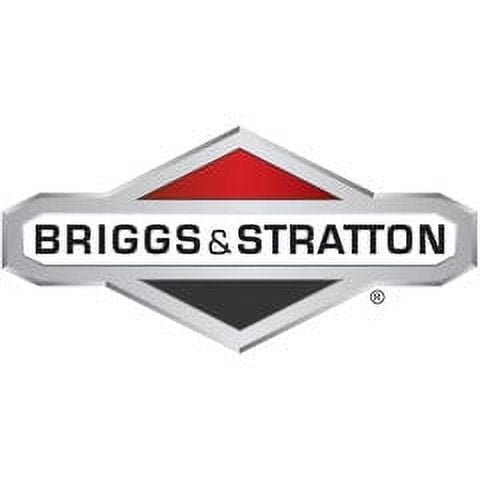 Briggs & Stratton 48V Lithium-Ion Replacement Battery (5.0 Ah) xmon1