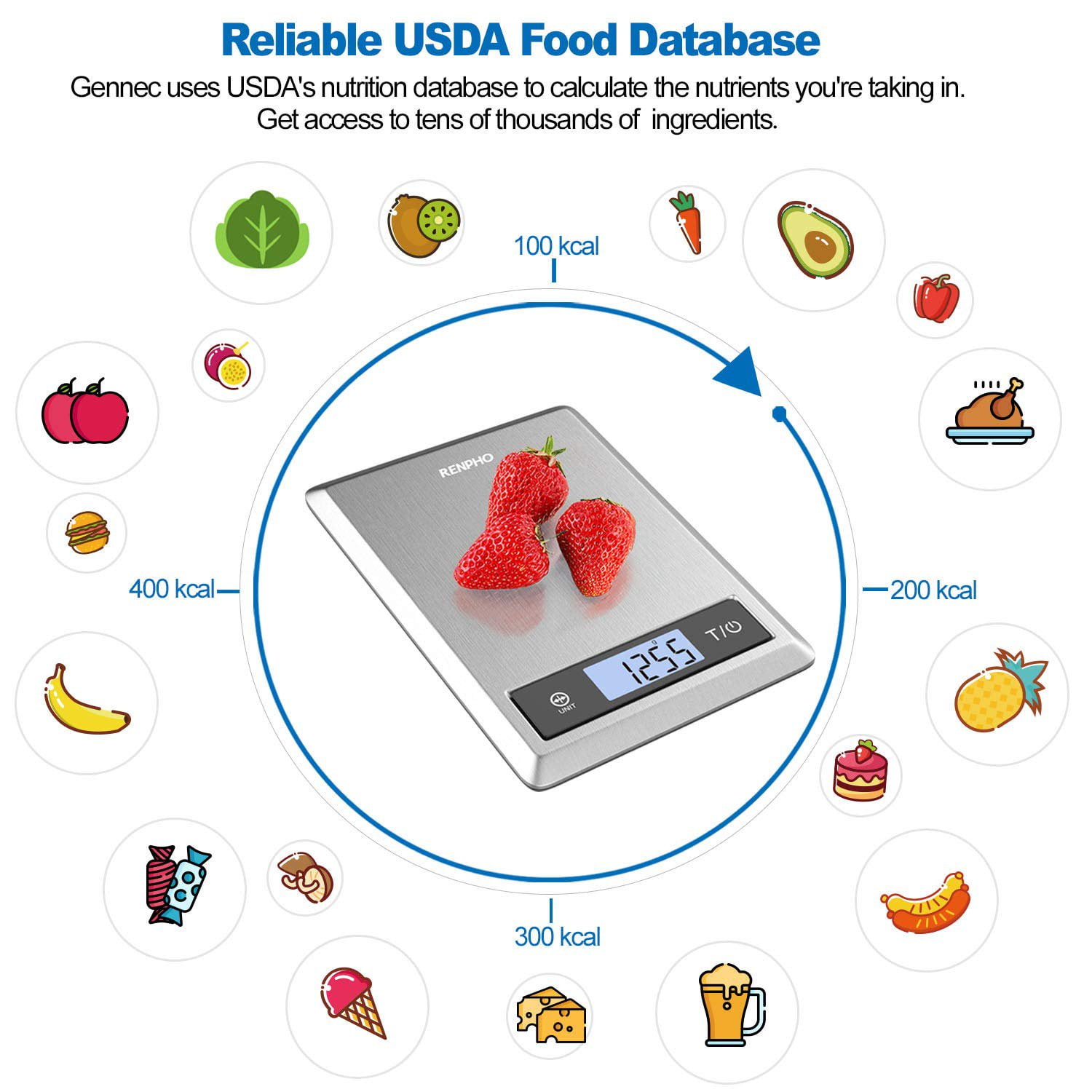 RENPHO Smart Digital Food Scale with Bluetooth App Connectivity, Stainless Steel Kitchen Nutrition Tracker (11 lbs) rxzs8