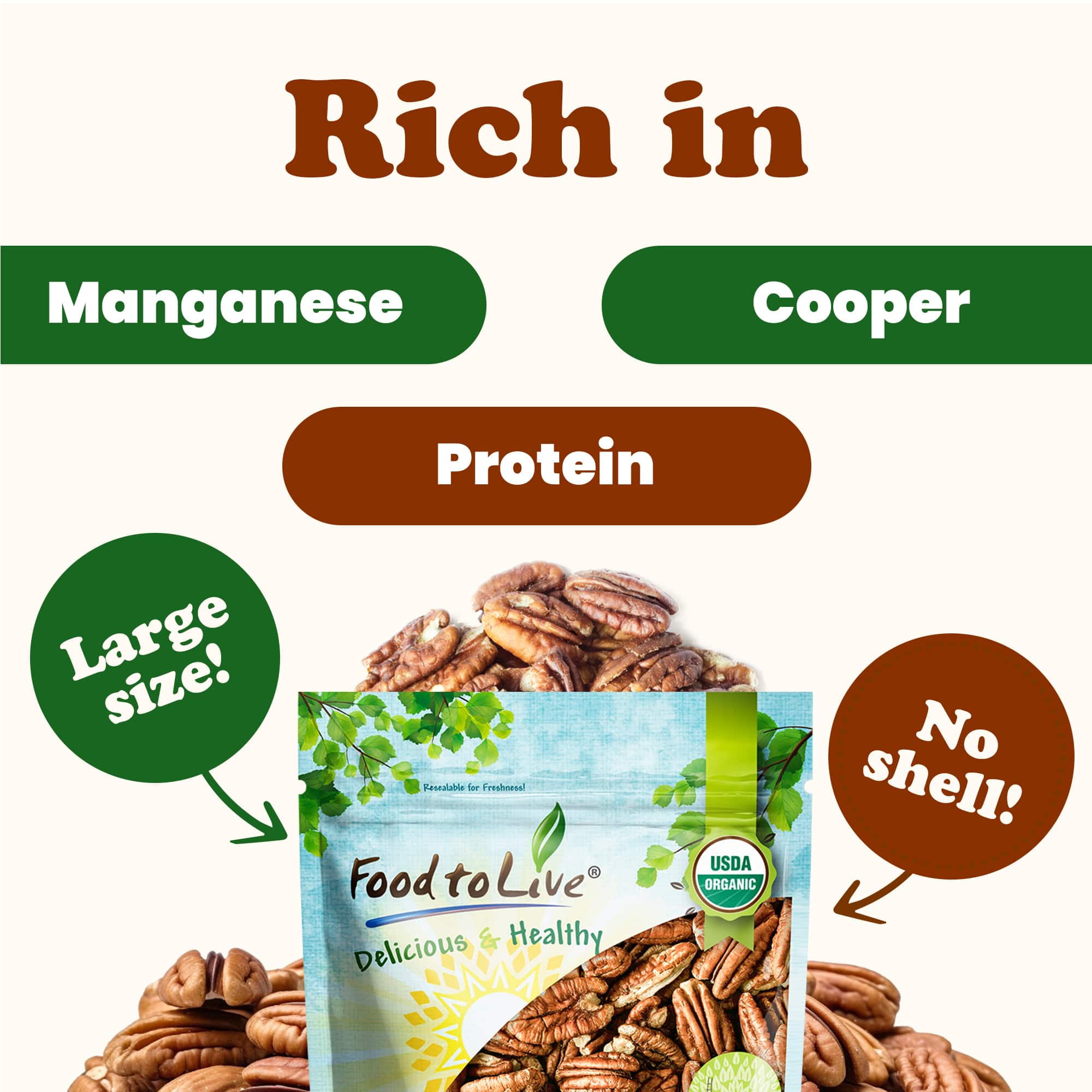 Food to Live Organic Raw Pecan Halves (Unsalted, Non-GMO, 12 oz) 5vyd5