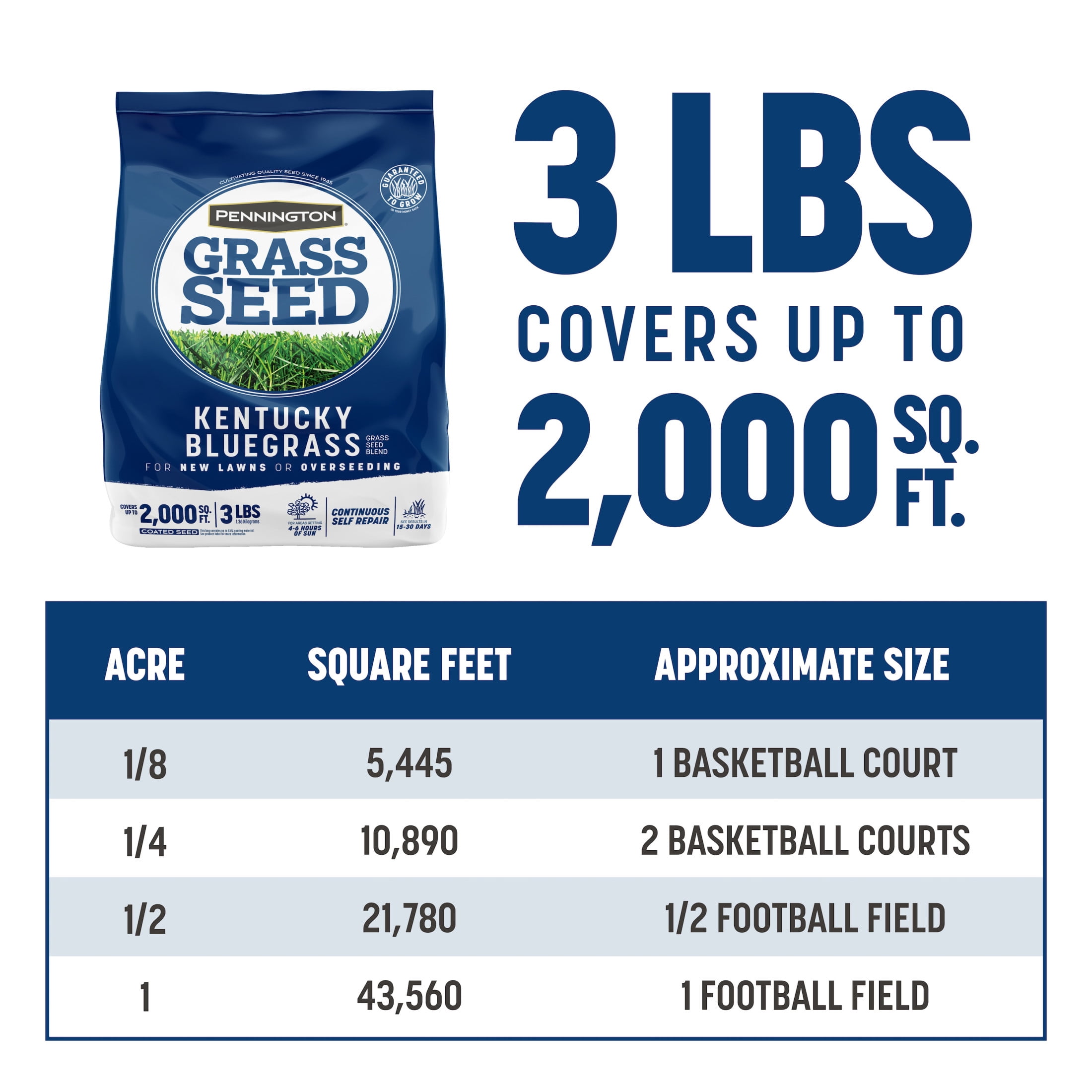 Pennington Kentucky Bluegrass Northern Grass Seed Mix (Sun to Partial Shade, 3 lb) 1u0vo