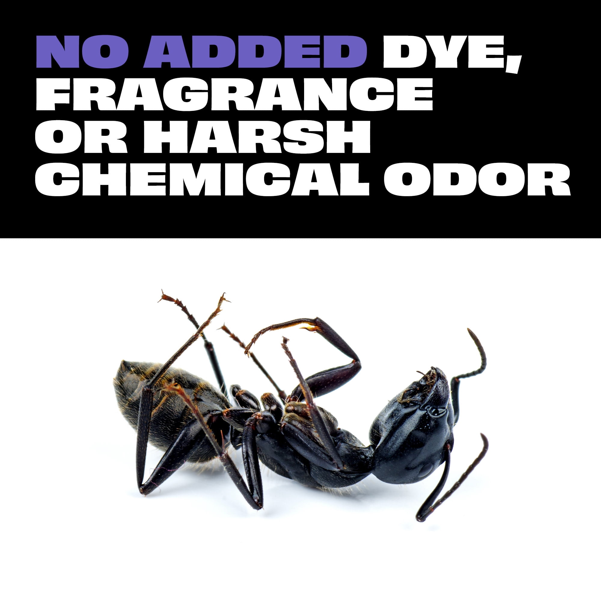 STEM Insect Killer for Ants, Roaches, and Spiders, Plant-Based Indoor and Outdoor Bug Spray (10 oz) 4kcm8