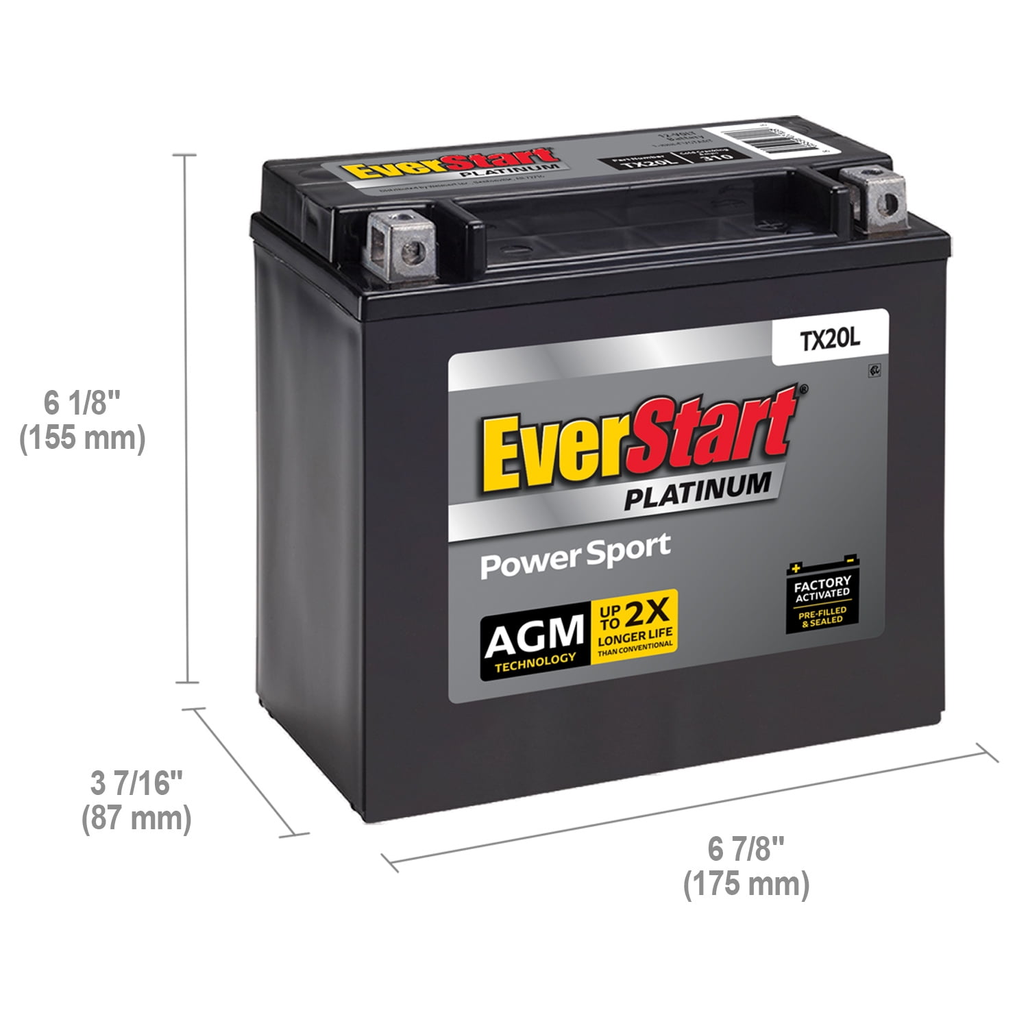 EverStart Platinum AGM Power Sport Battery (Group Size TX20L, 12 Volt, 310 CCA) qv4xx