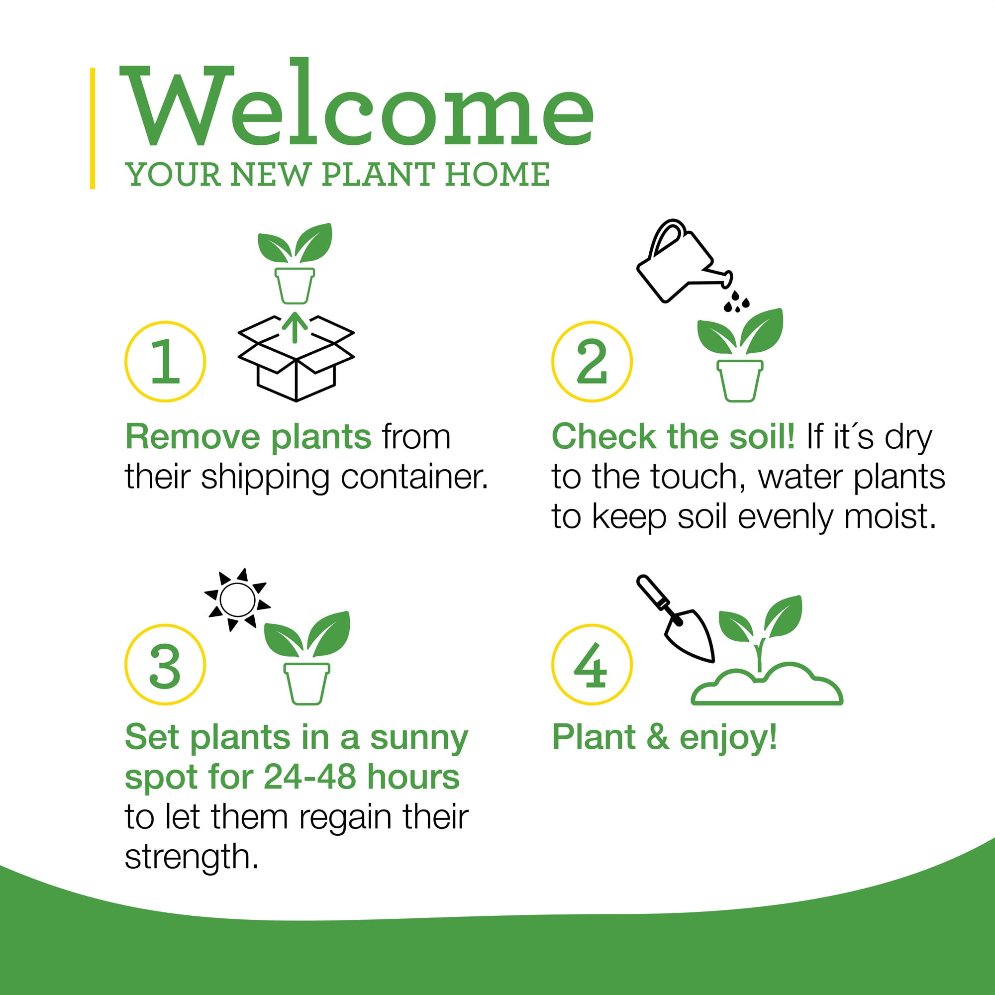 Bonnie Plants Sweet Basil Herb Plant (Green, 19.3 oz, 2-Pack) anwsd