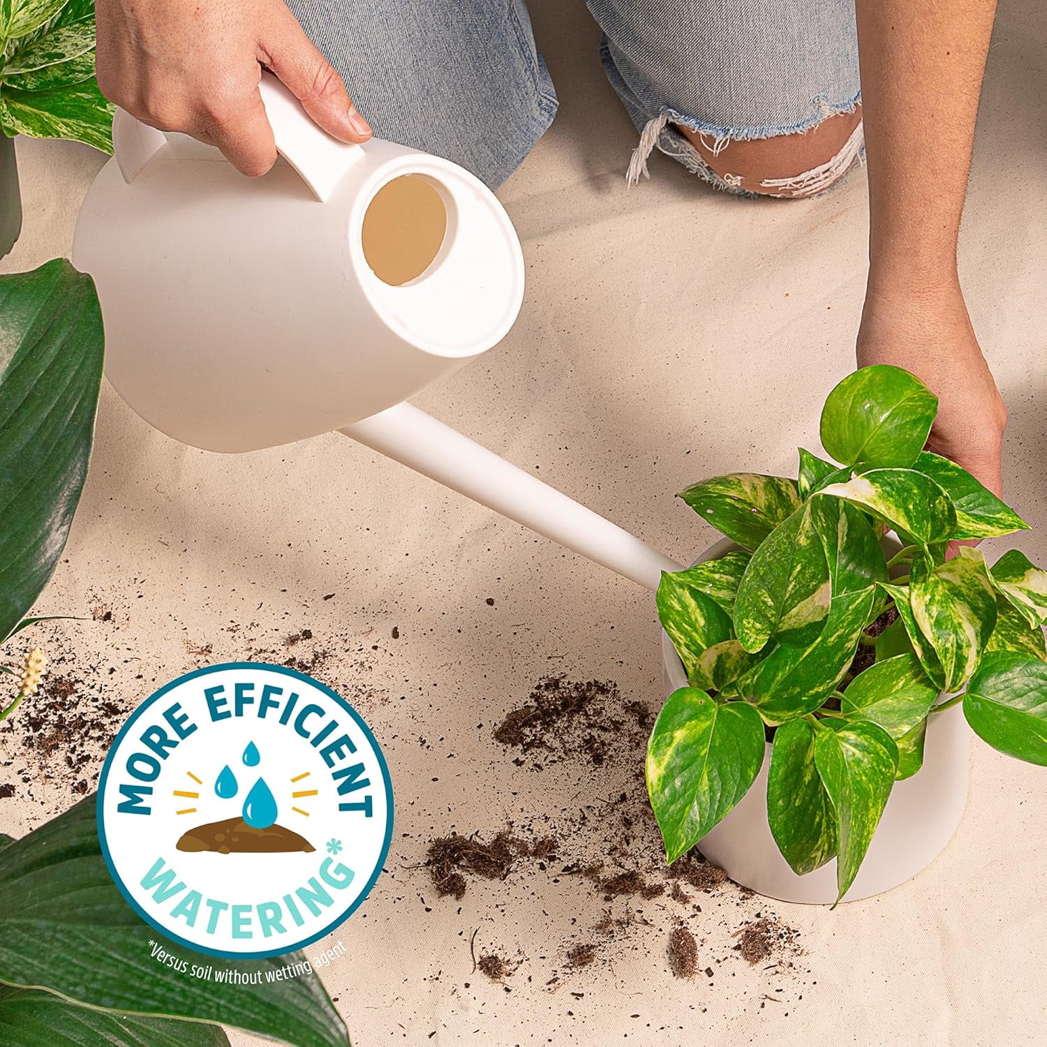Back to the Roots Organic Indoor Potting Mix with Coconut Coir and Yucca Extract (12 qt, 2 Pack) arktj