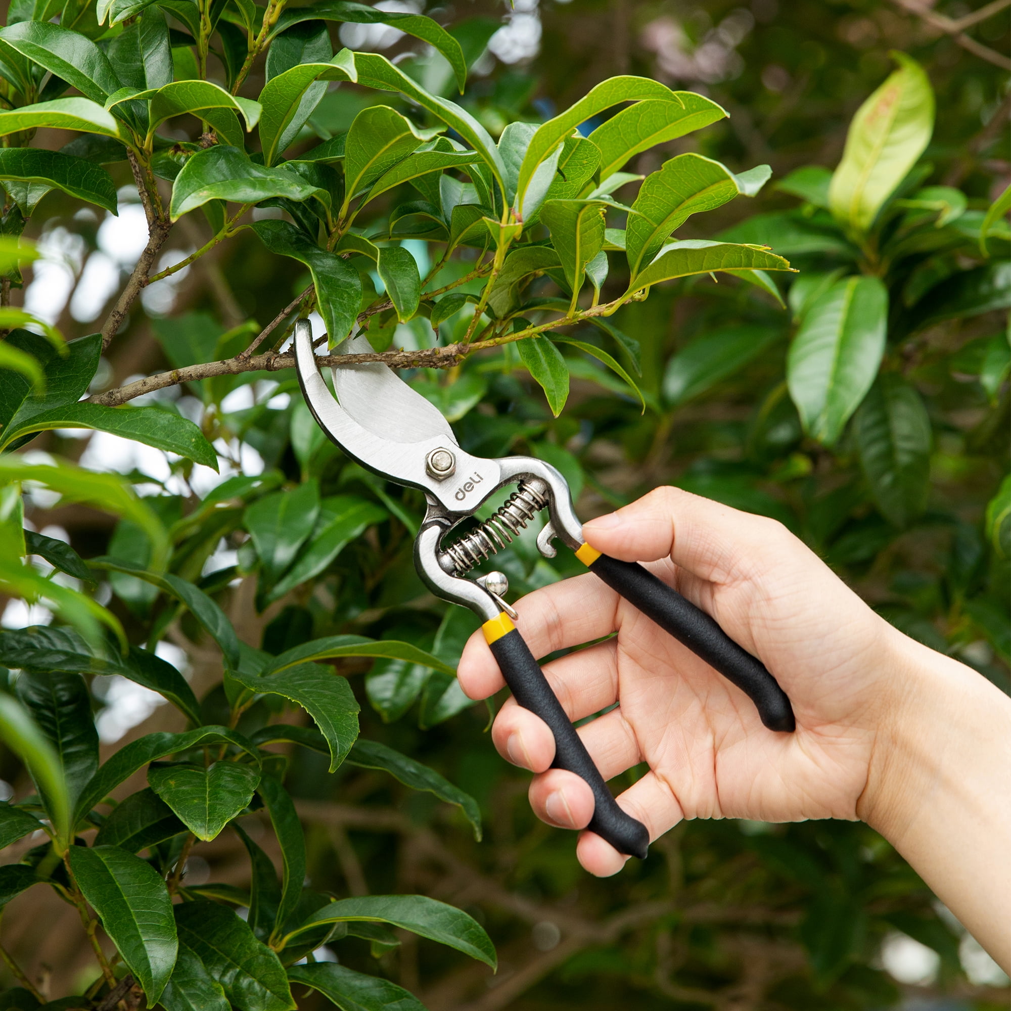 Deli Bypass Pruning Shears, Ergonomic Gardening Clippers for Plants and Flowers (Black, 8 in) fff97