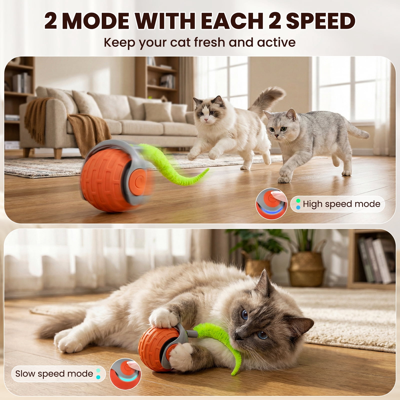 Absoke Interactive Cat Toy Ball with Feather Tails, Automatic Rolling Motion for Indoor Cats (Blue-Orange, 2 Pack) nof74